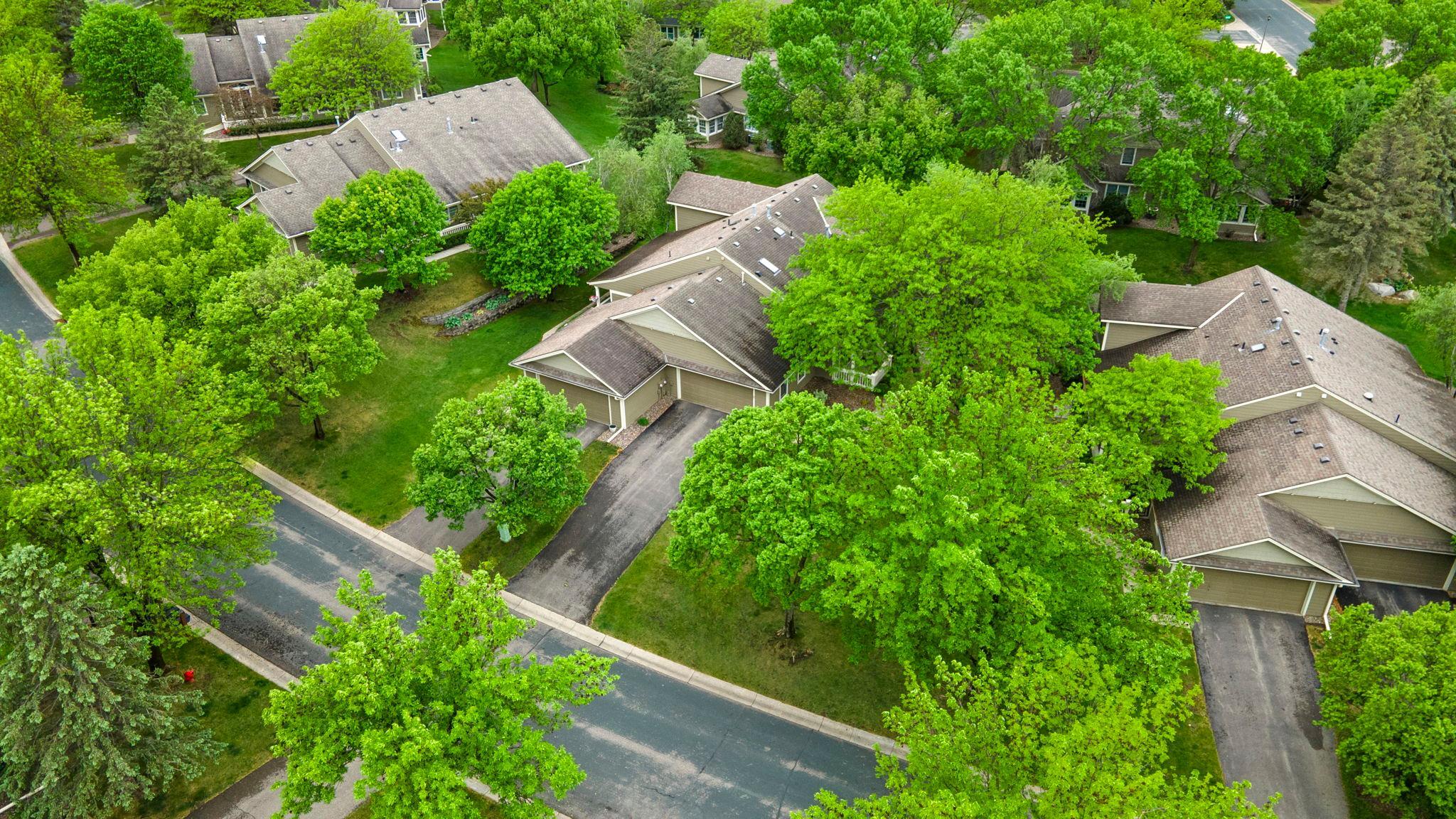 809 Ivy Lane