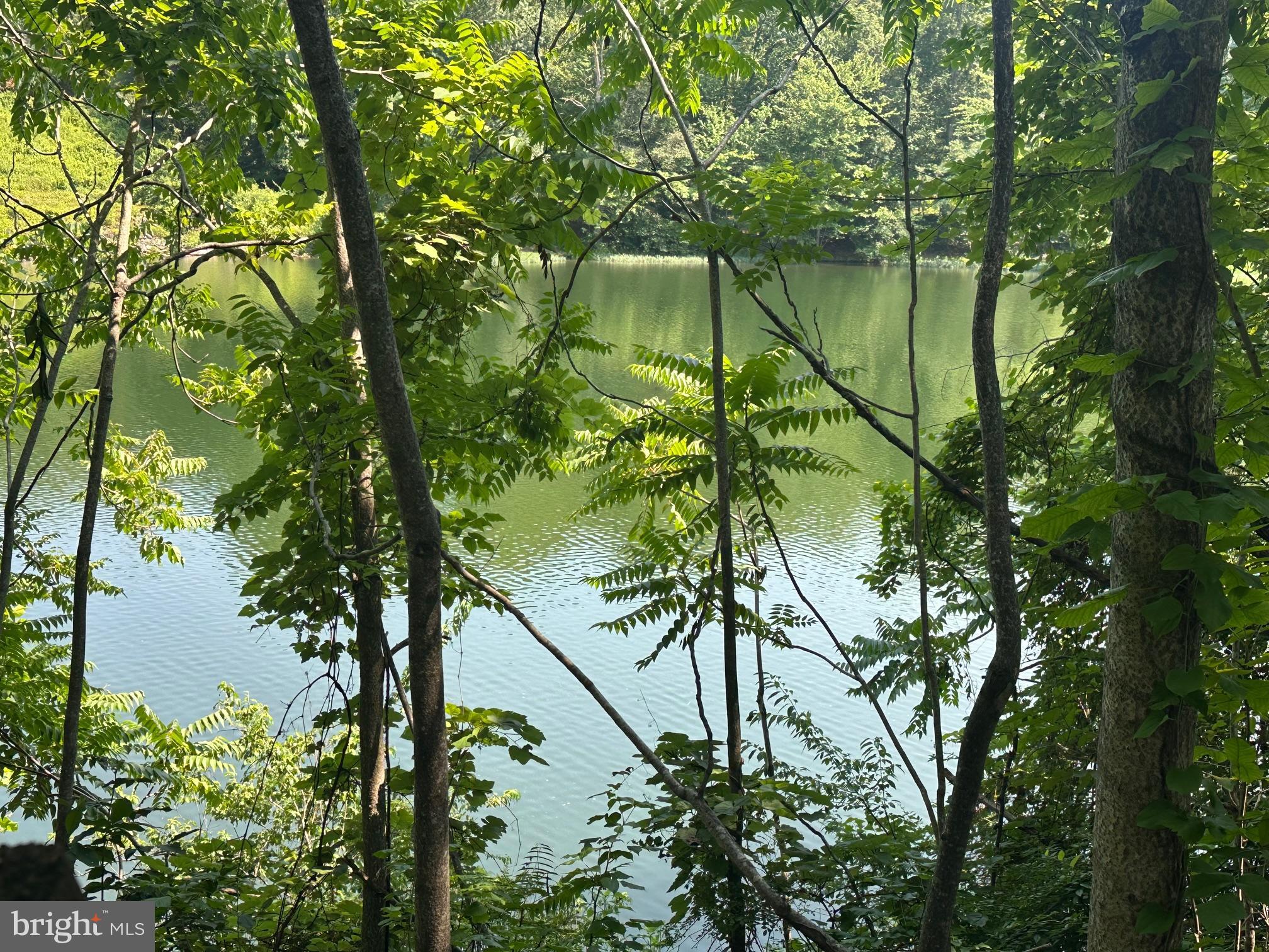 20408 Shore Harbour Dr #5-C