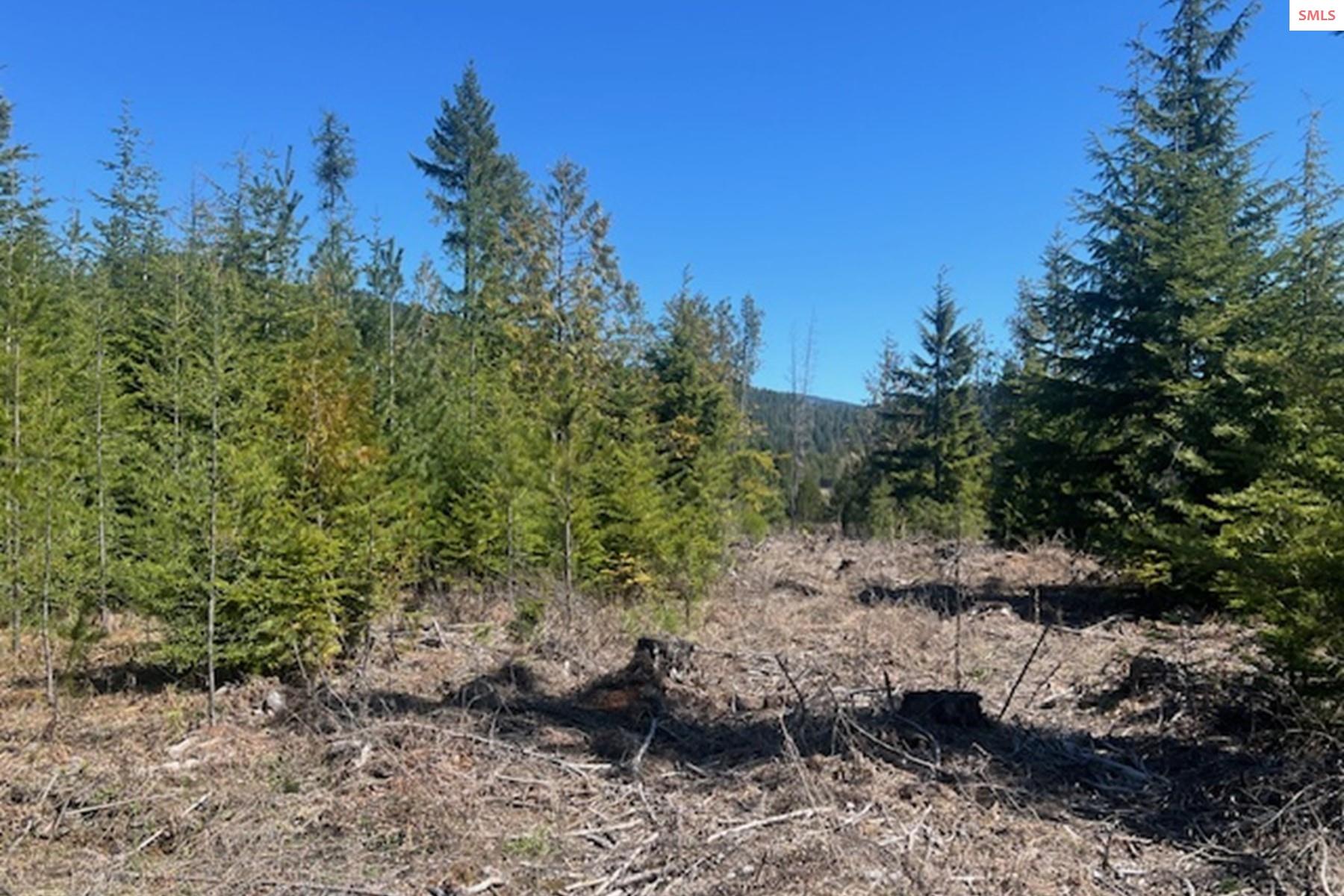 NNA Noble Estates Lot 3 Rd