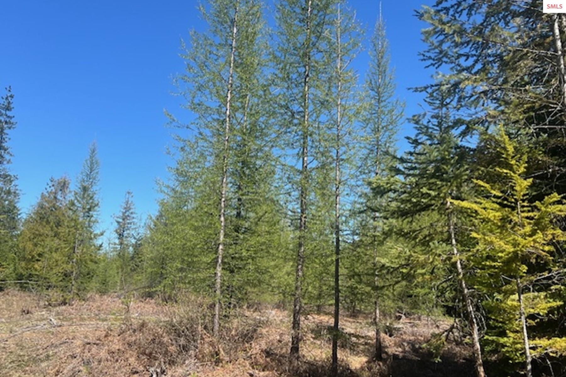 NNA Noble Estates Lot 3 Rd