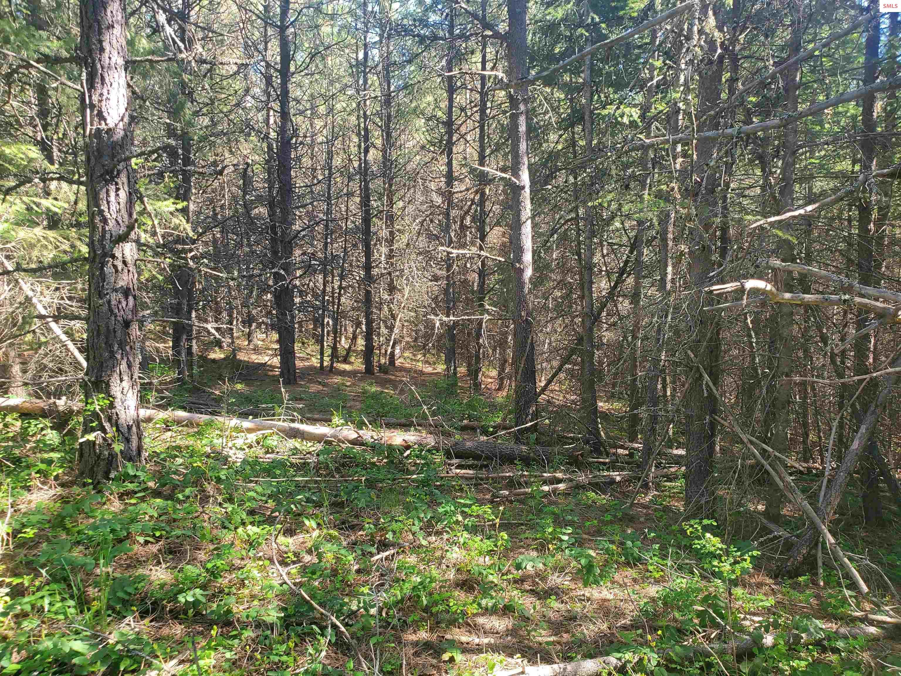 NKA Timberline Dr Lot 3