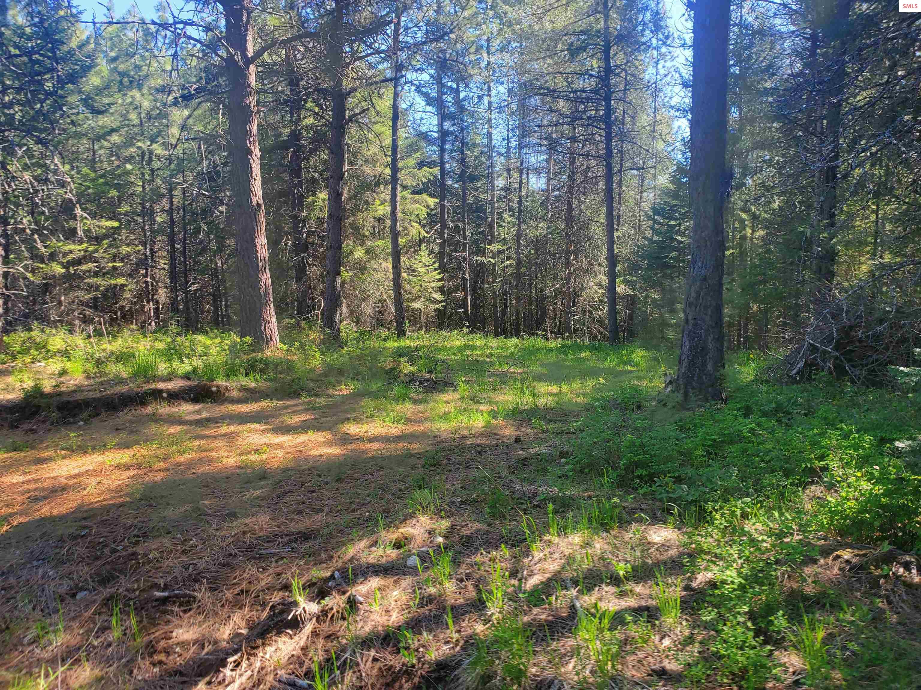 NKA Timberline Dr Lot 3