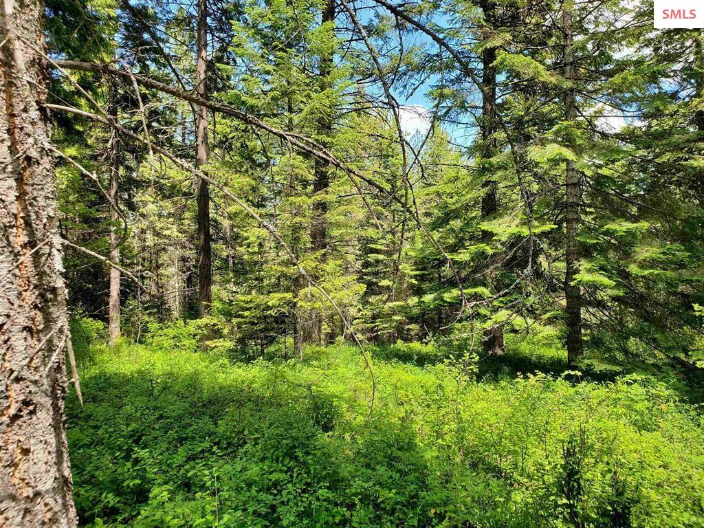 NKA Timberline Dr Lot 3