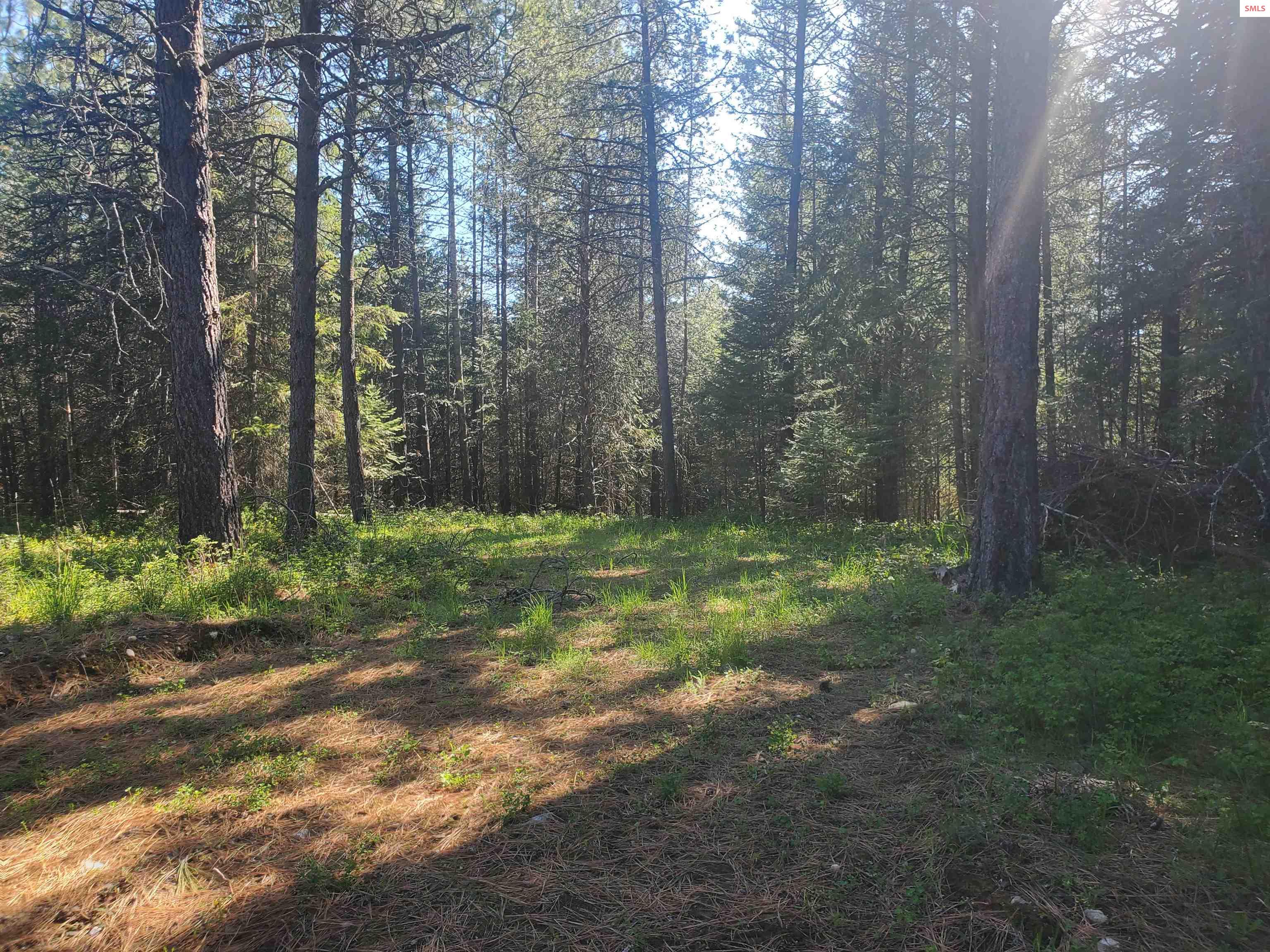 NKA Timberline Dr Lot 3