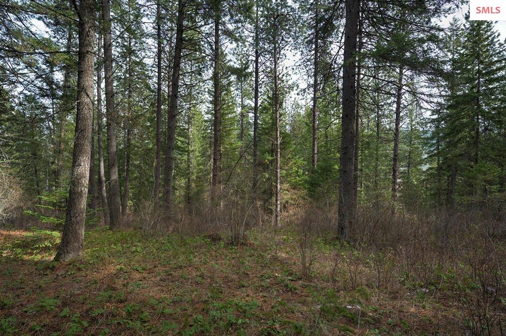 NKA Timberline Dr Lot 3