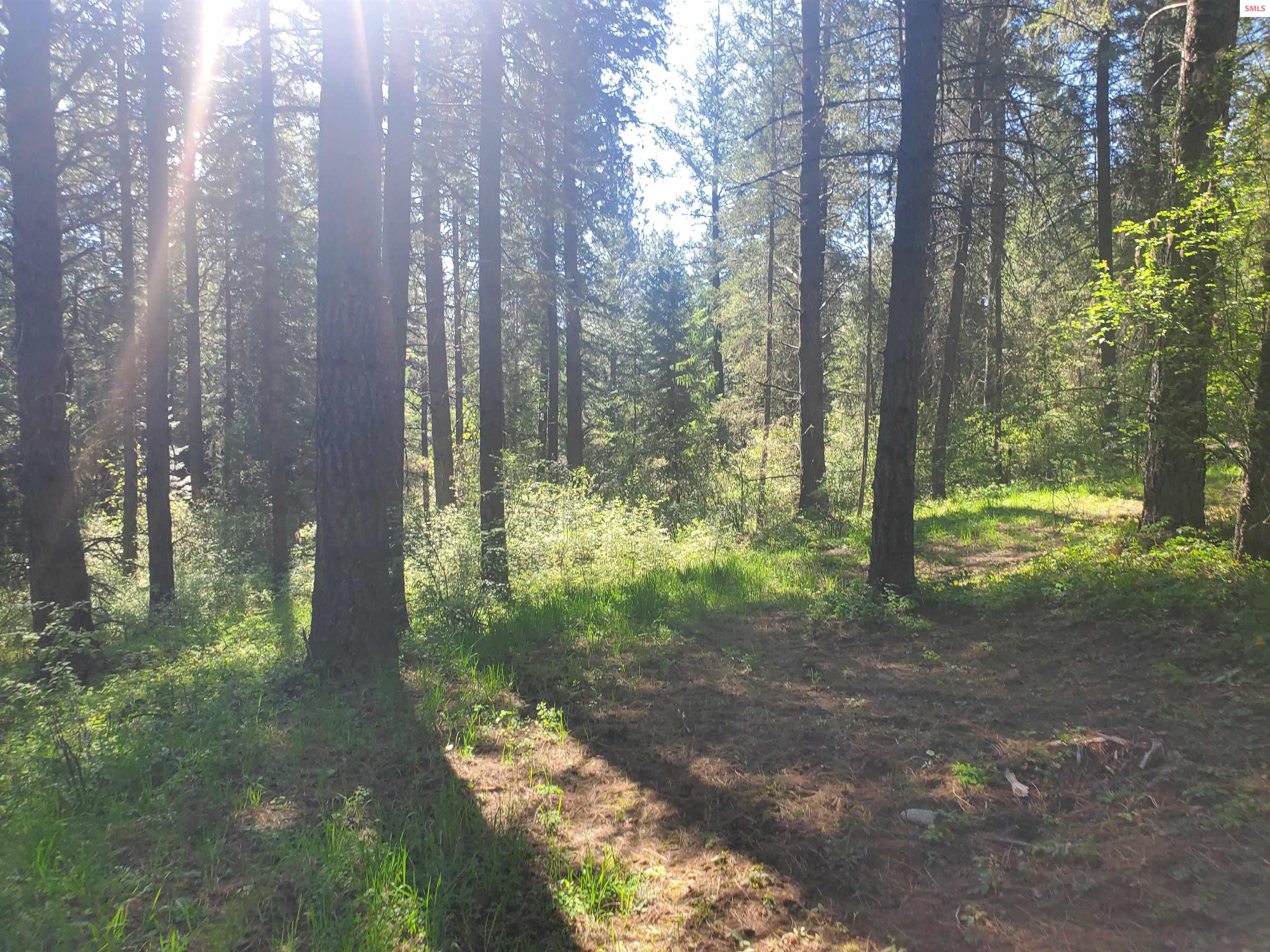 NKA Timberline Dr Lot 3