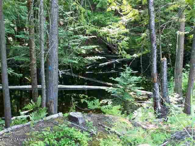 NNA Hidden Valley Rd