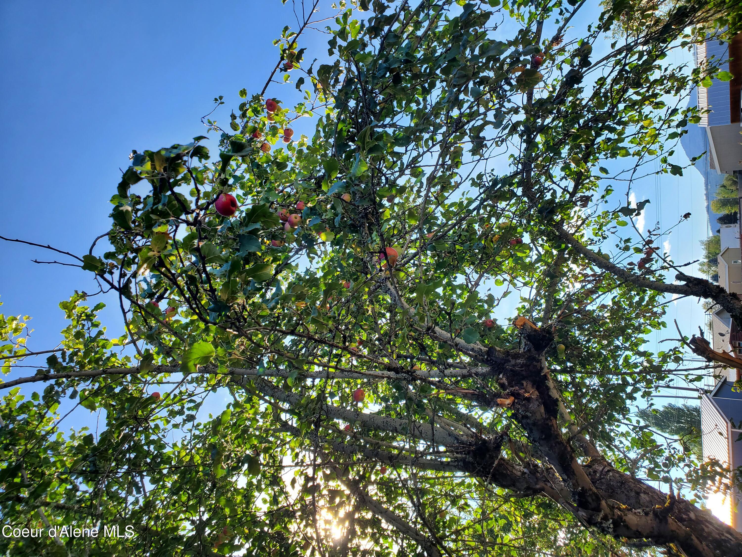 620 E Mountain View Dr