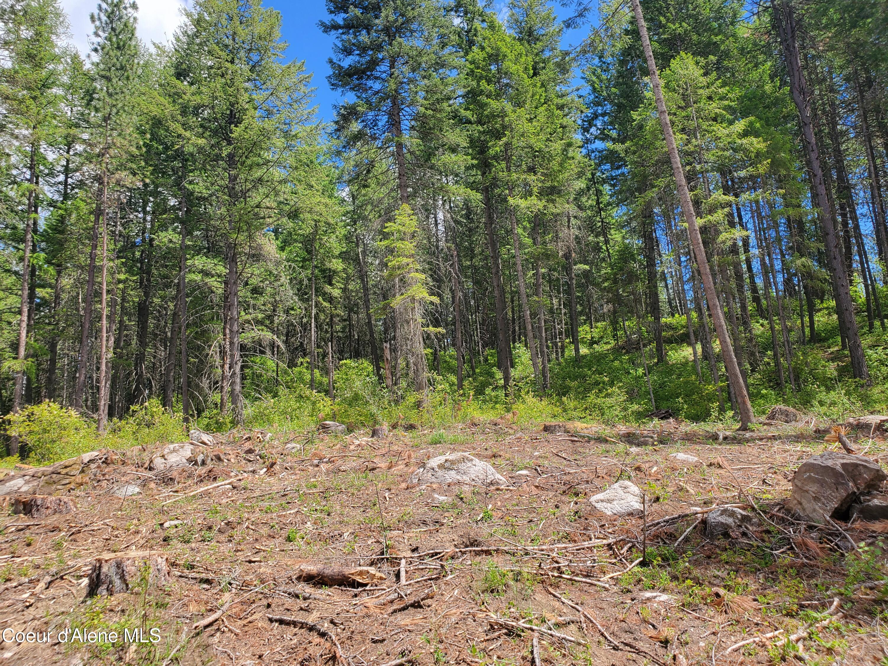 NNA Lot 3 Bloom Farm RD