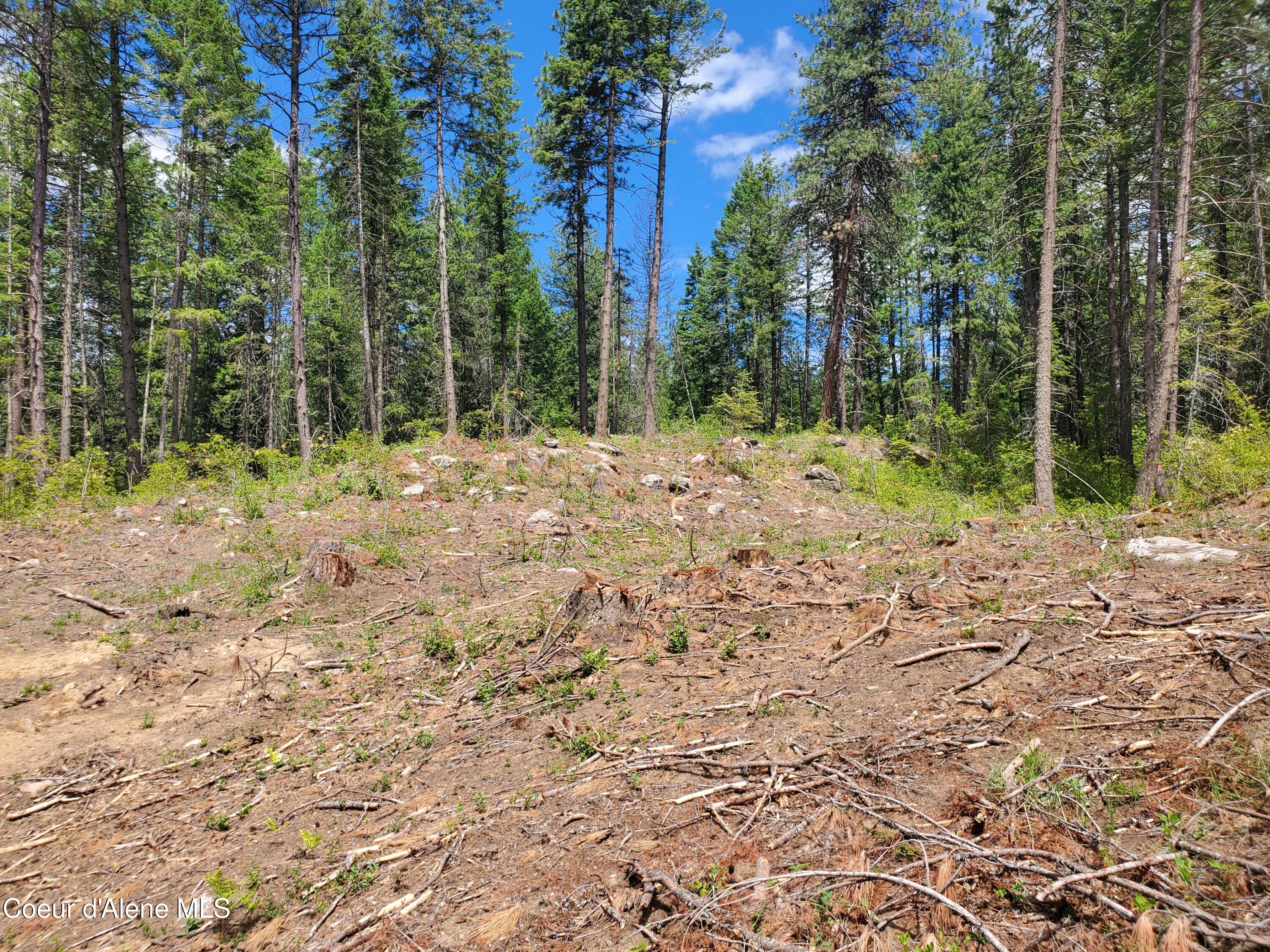 NNA Lot 3 Bloom Farm RD