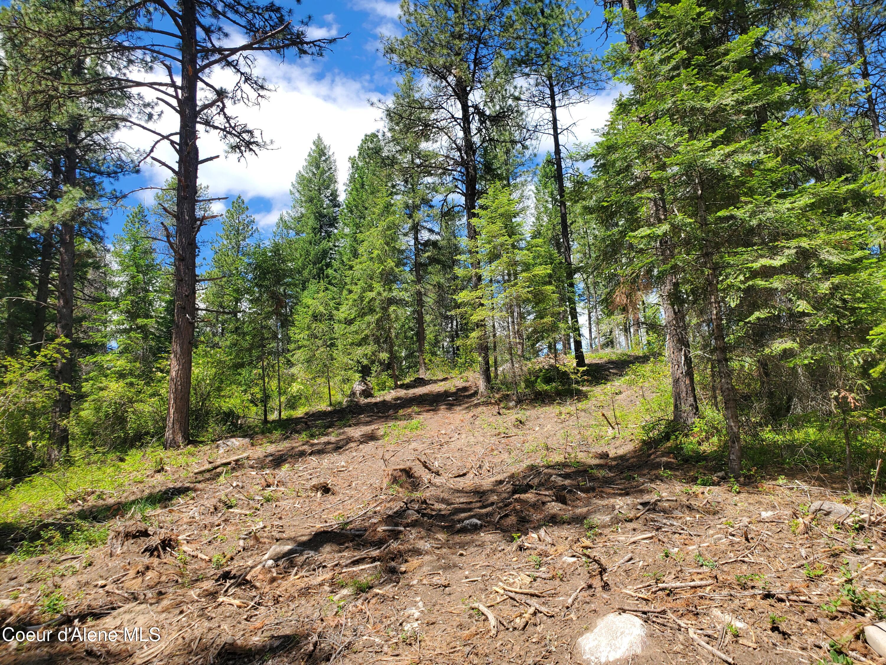 NNA Lot 2 Bloom Farm RD