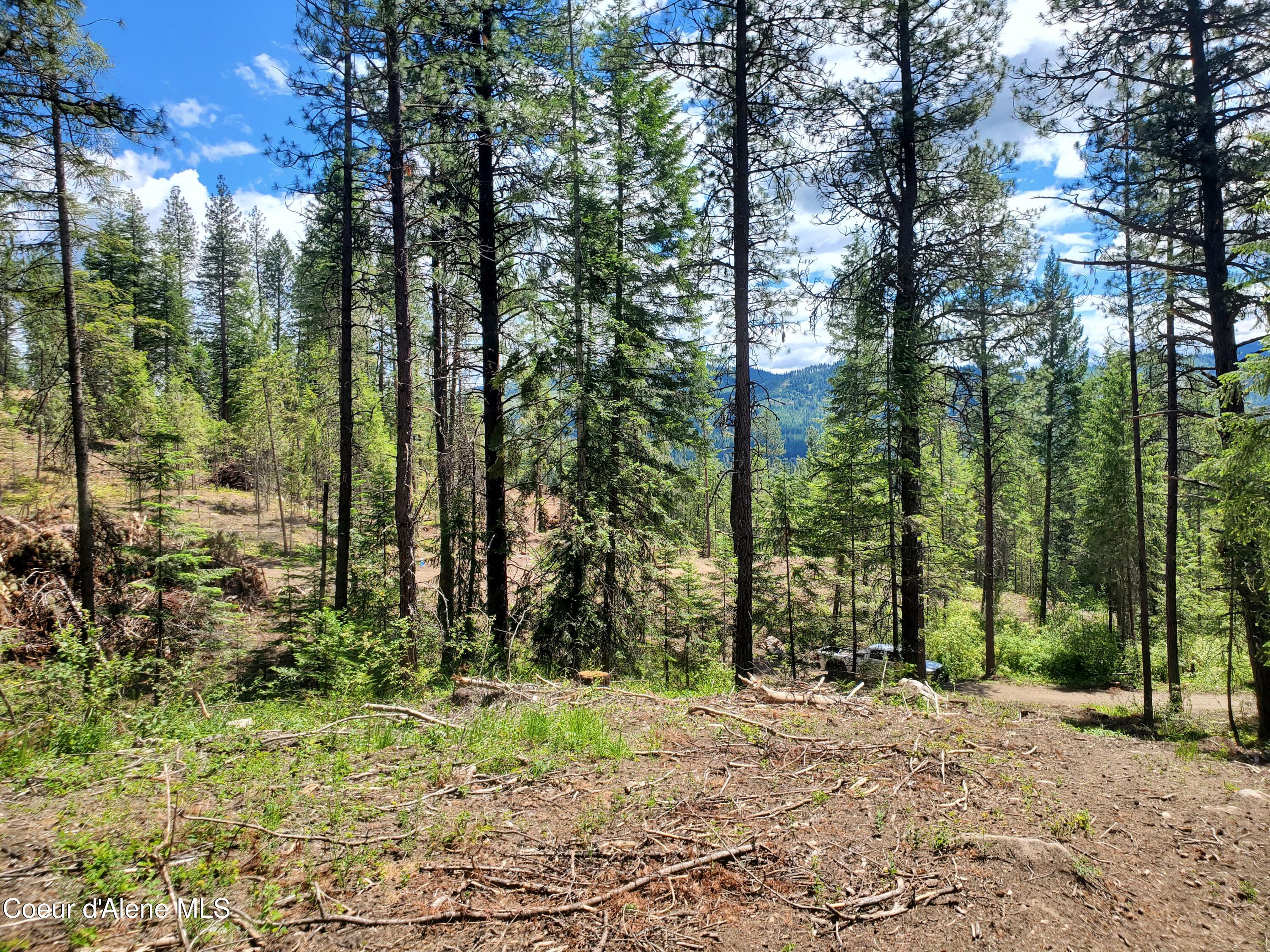 NNA Lot 2 Bloom Farm RD