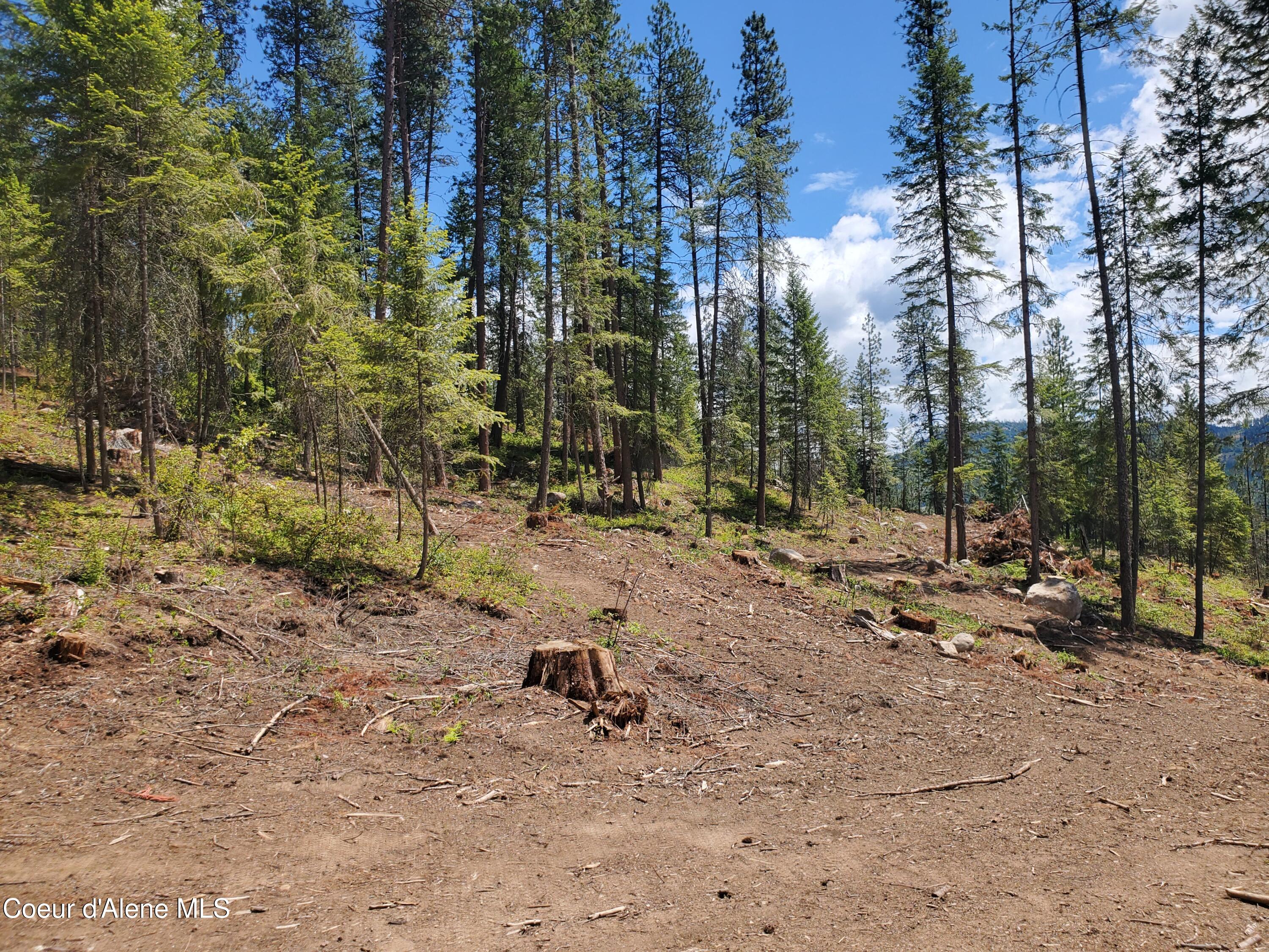 NNA Lot 2 Bloom Farm RD