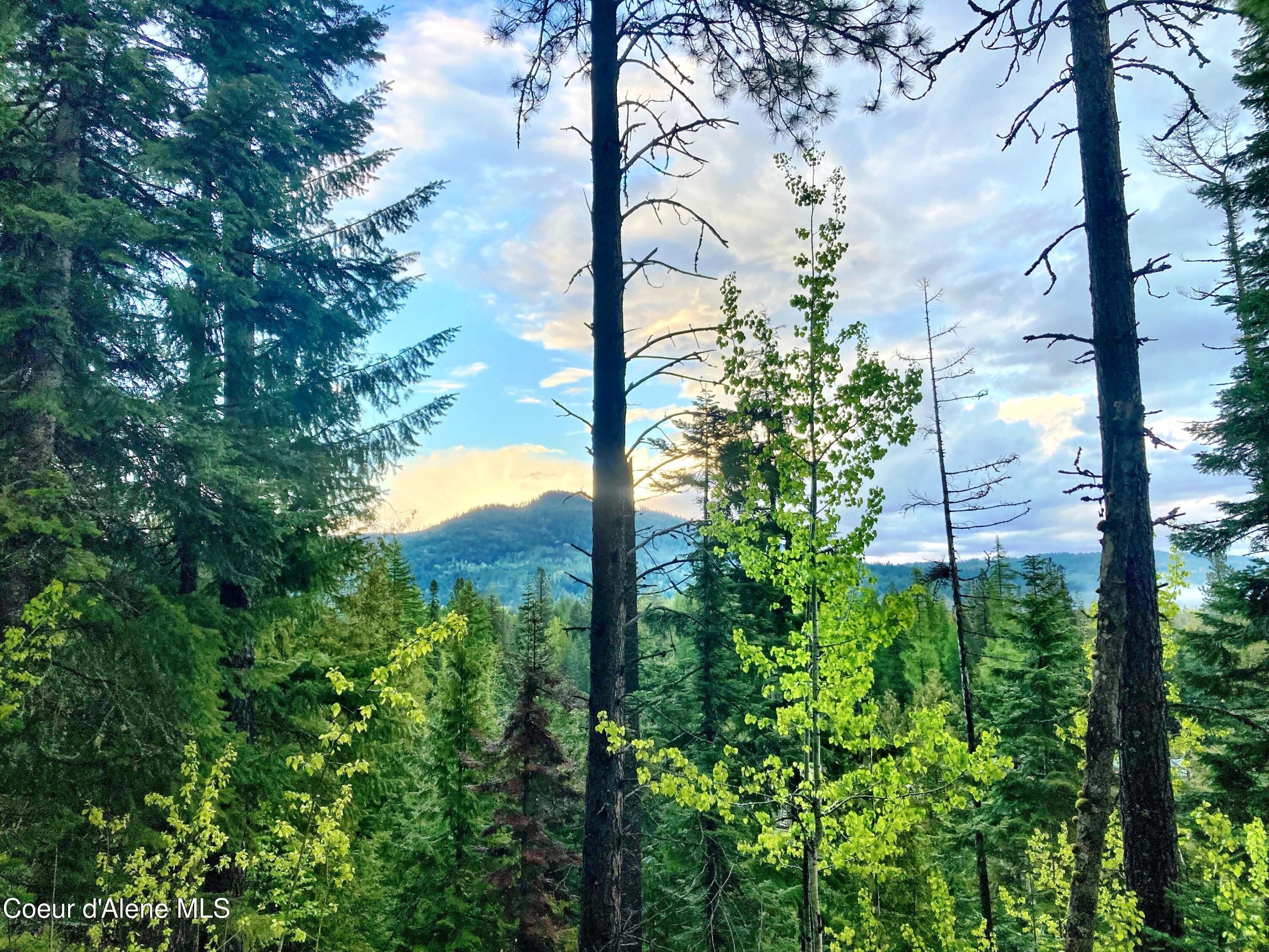 NNA White Mountain Rd