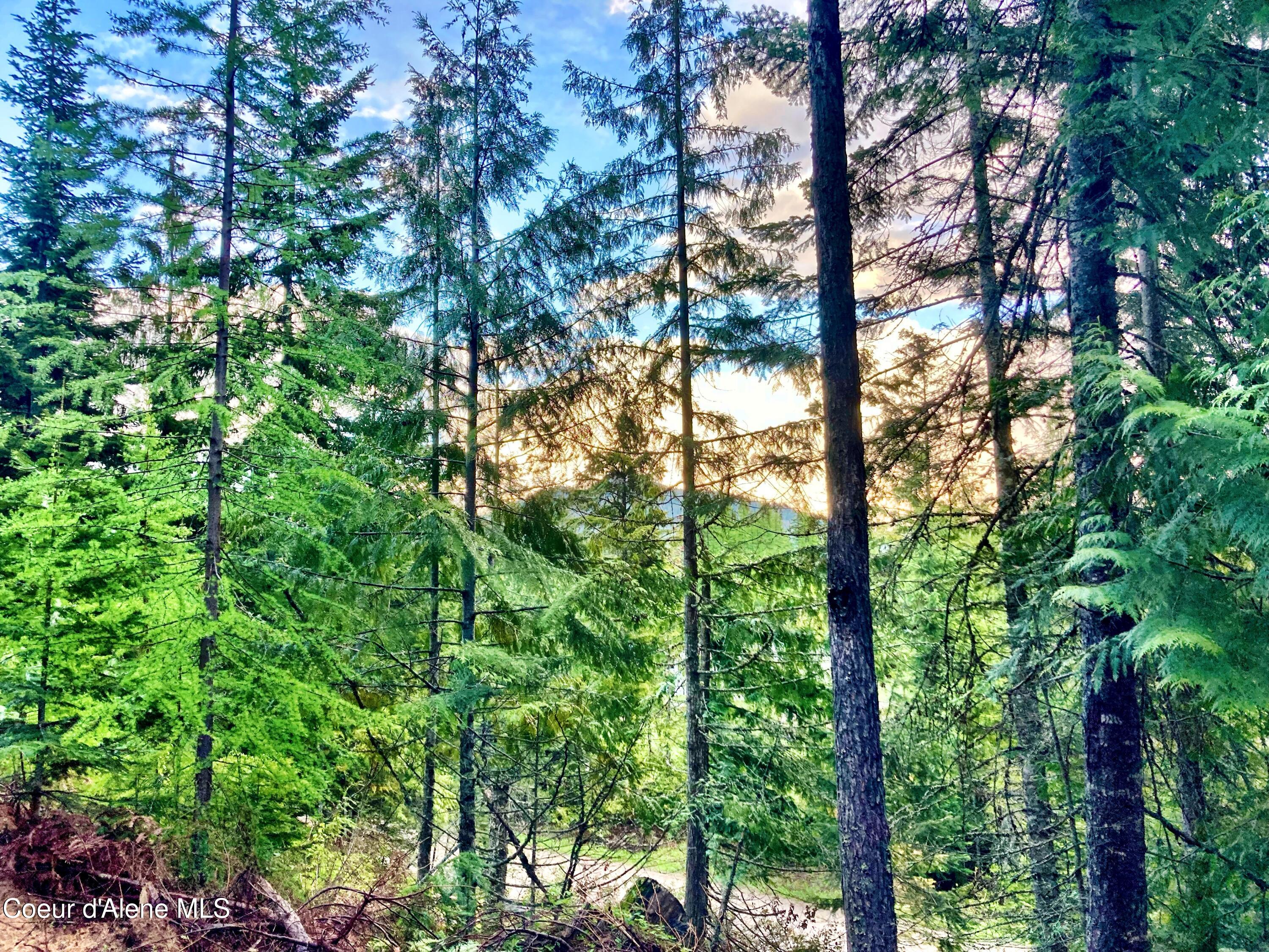 NNA White Mountain Rd