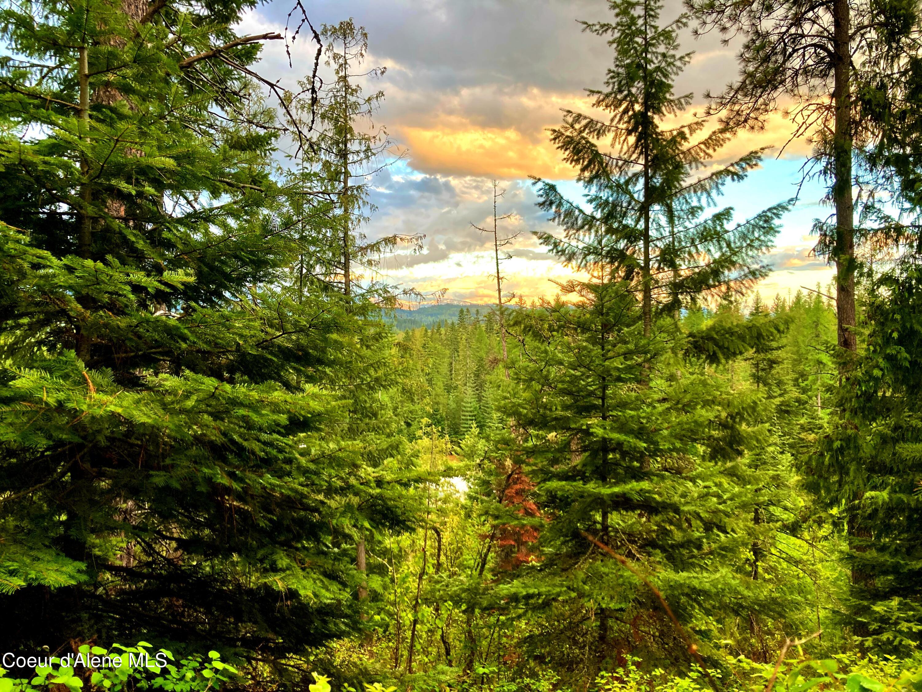 NNA White Mountain Rd