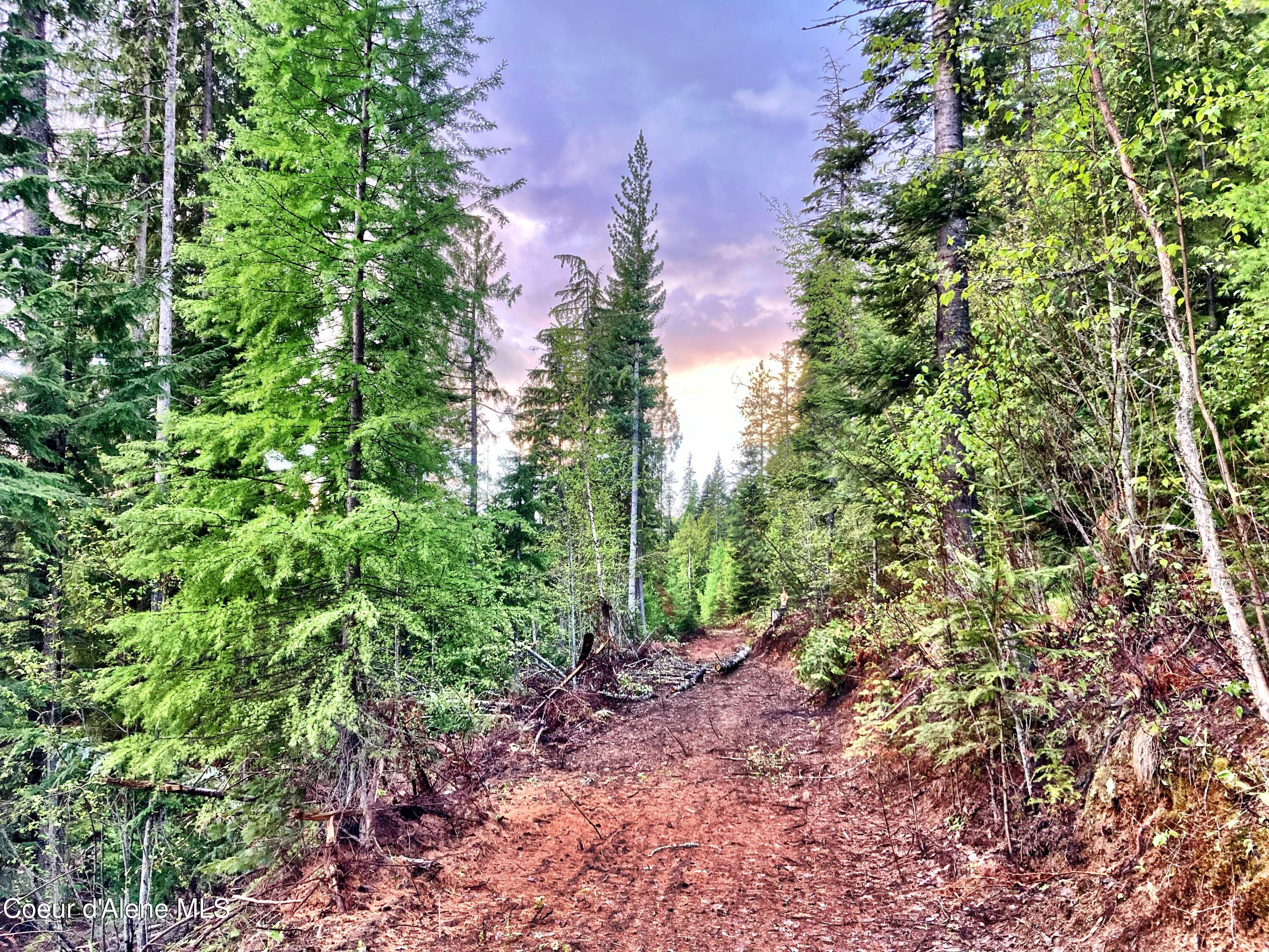 NNA White Mountain Rd