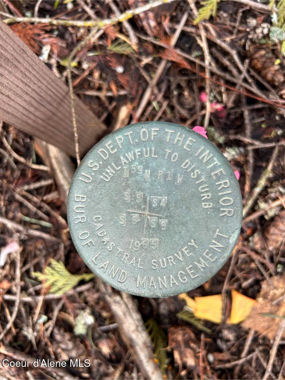 NNA White Mountain Rd