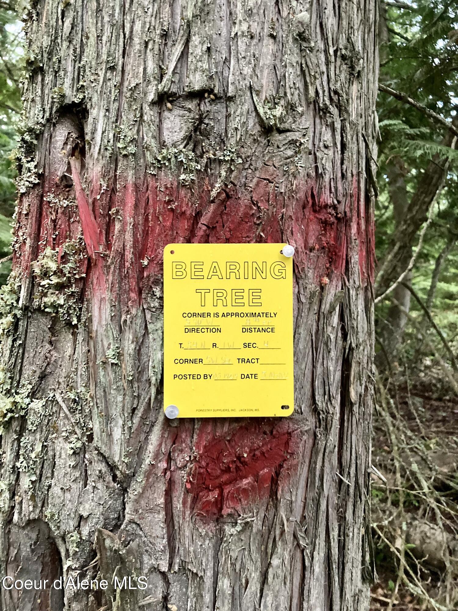 NNA White Mountain Rd