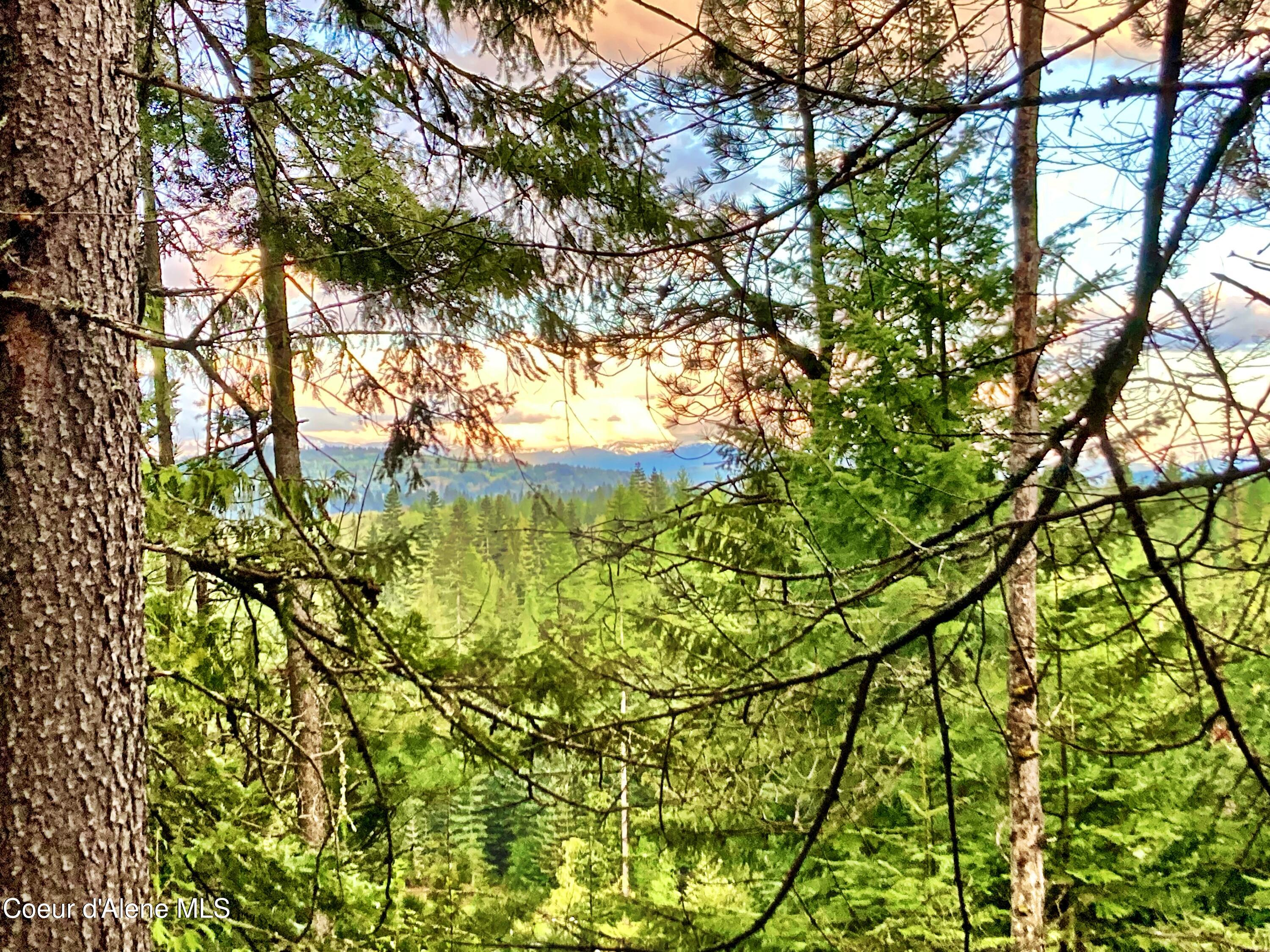 NNA White Mountain Rd