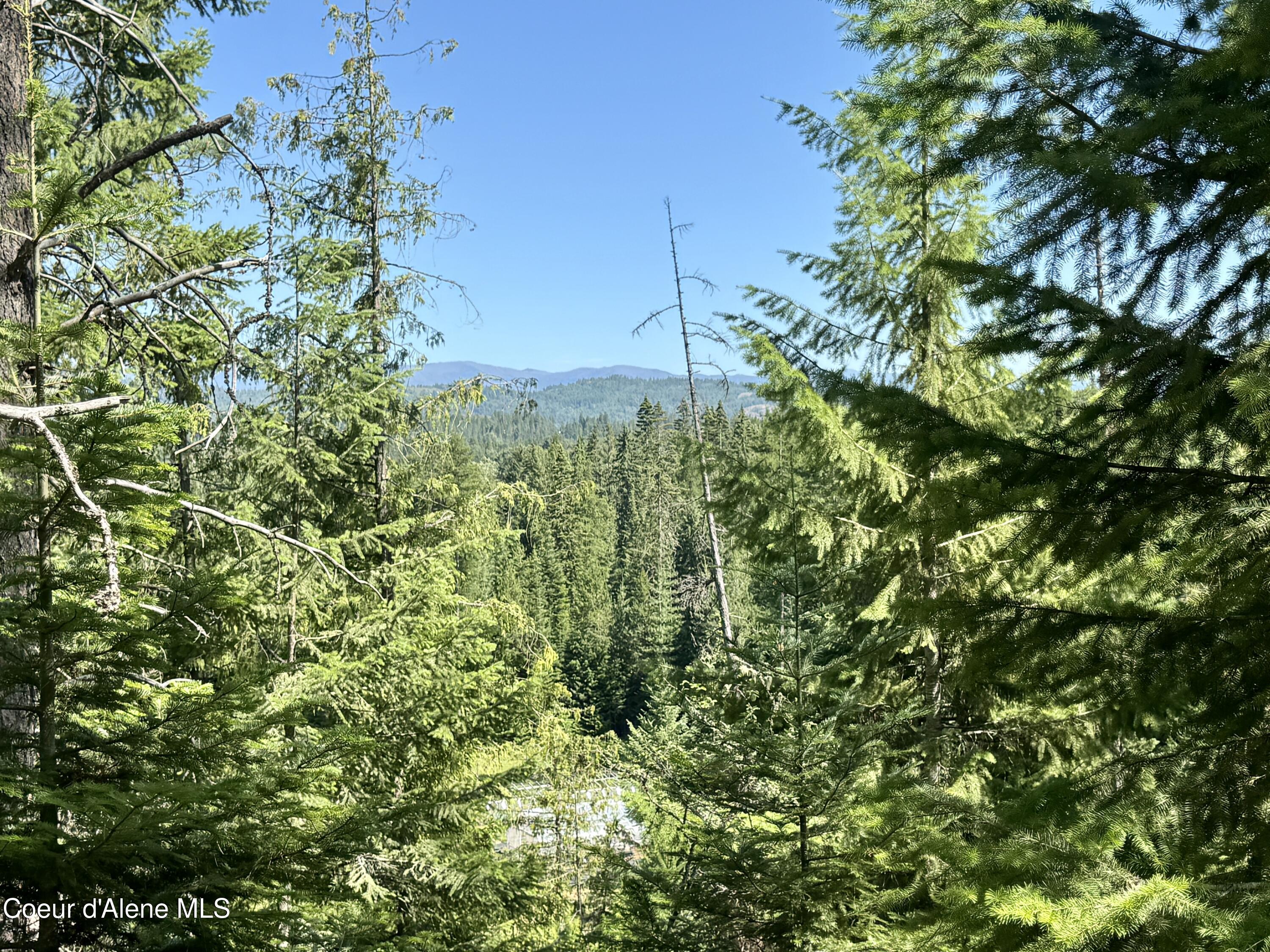 NNA White Mountain Rd