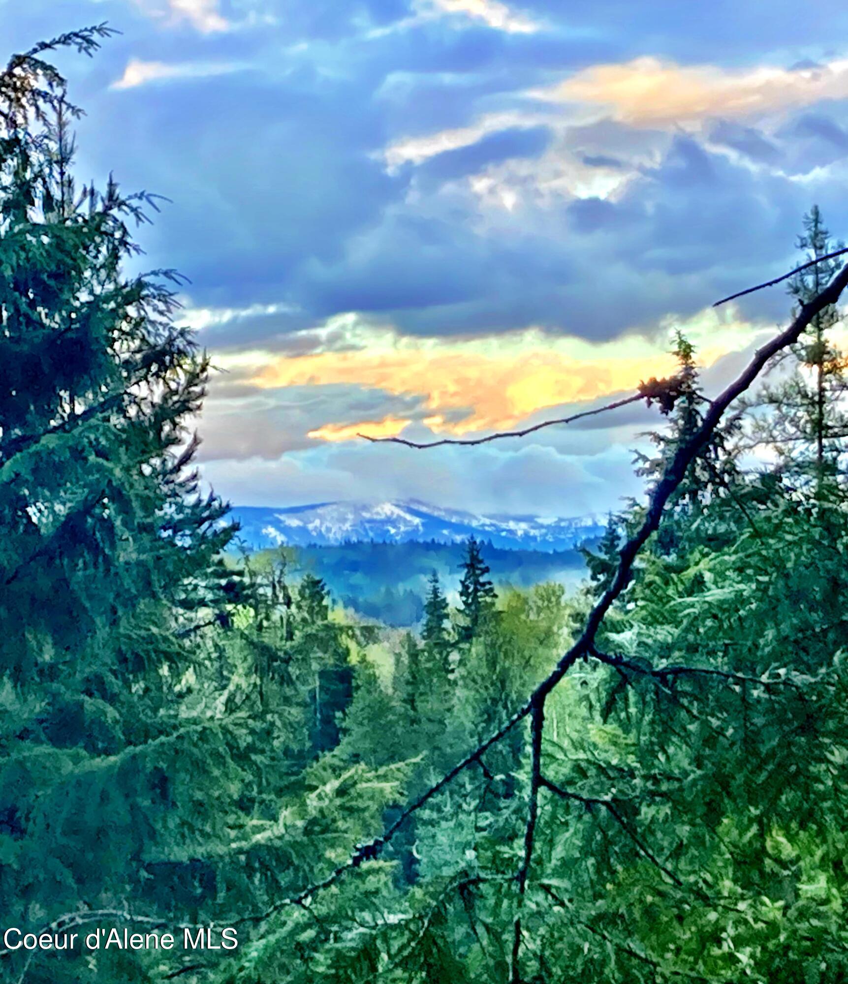 NNA White Mountain Rd