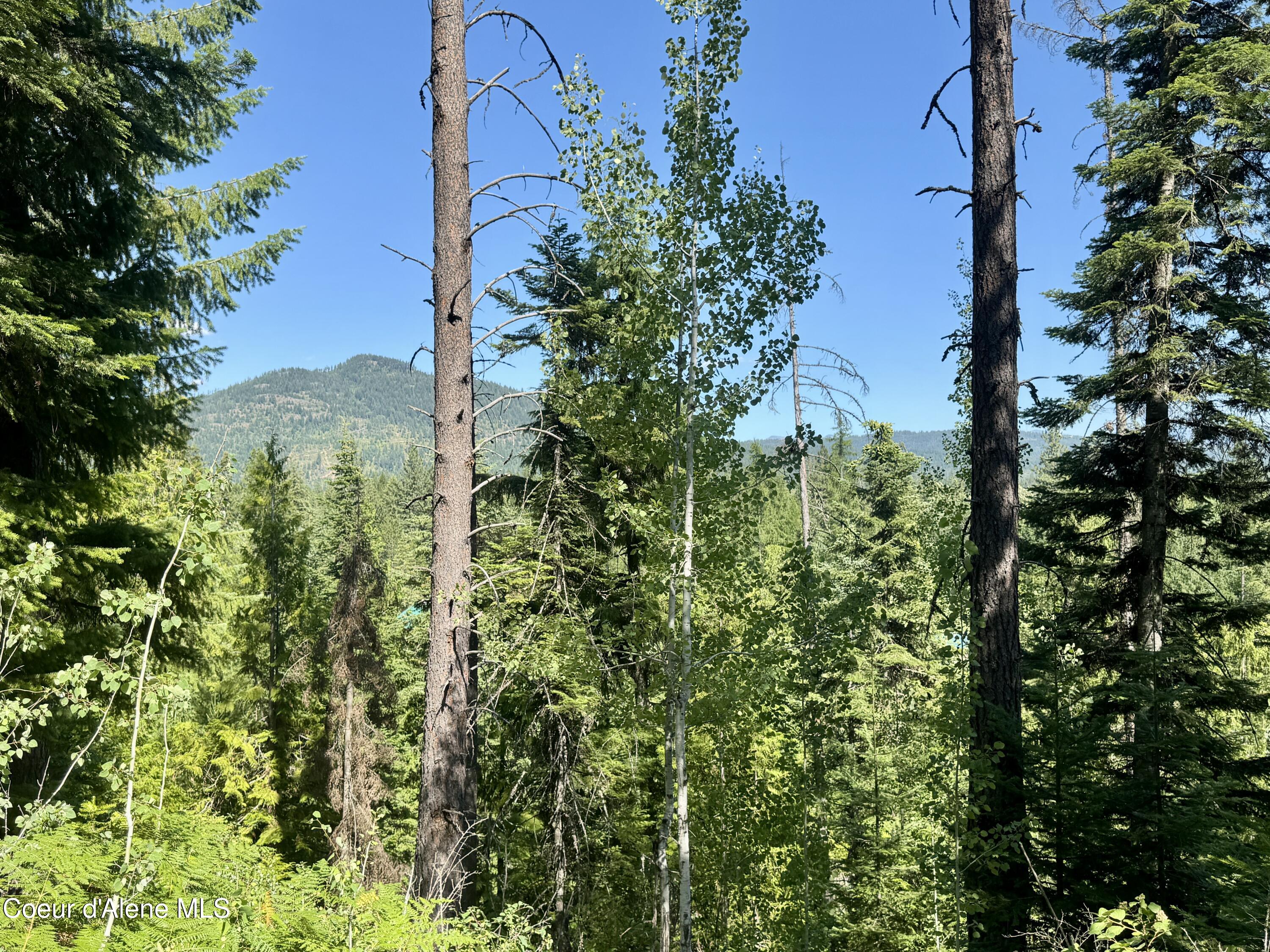 NNA White Mountain Rd