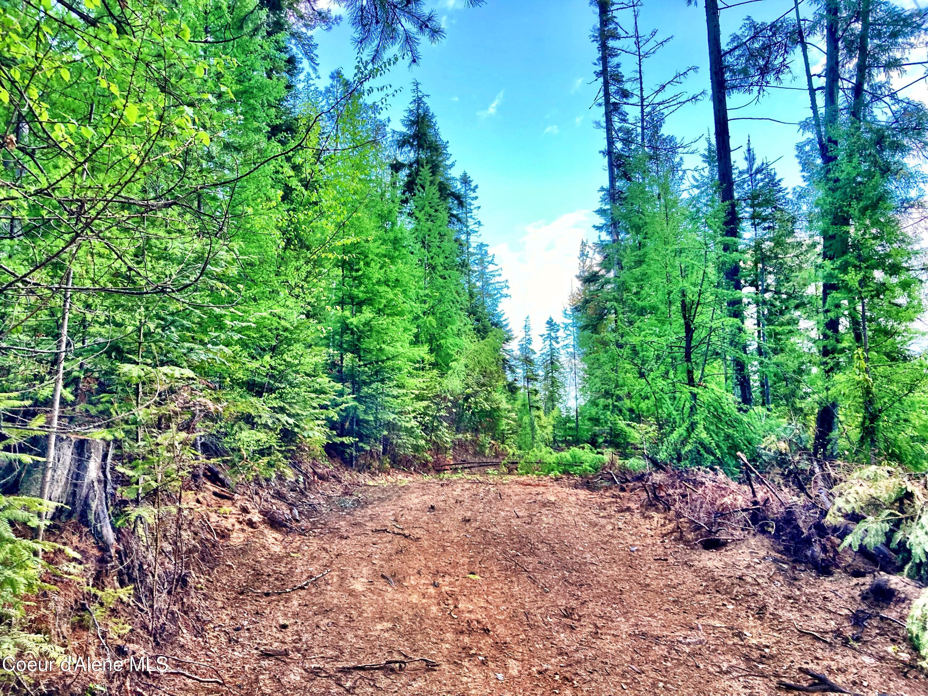 NNA White Mountain Rd