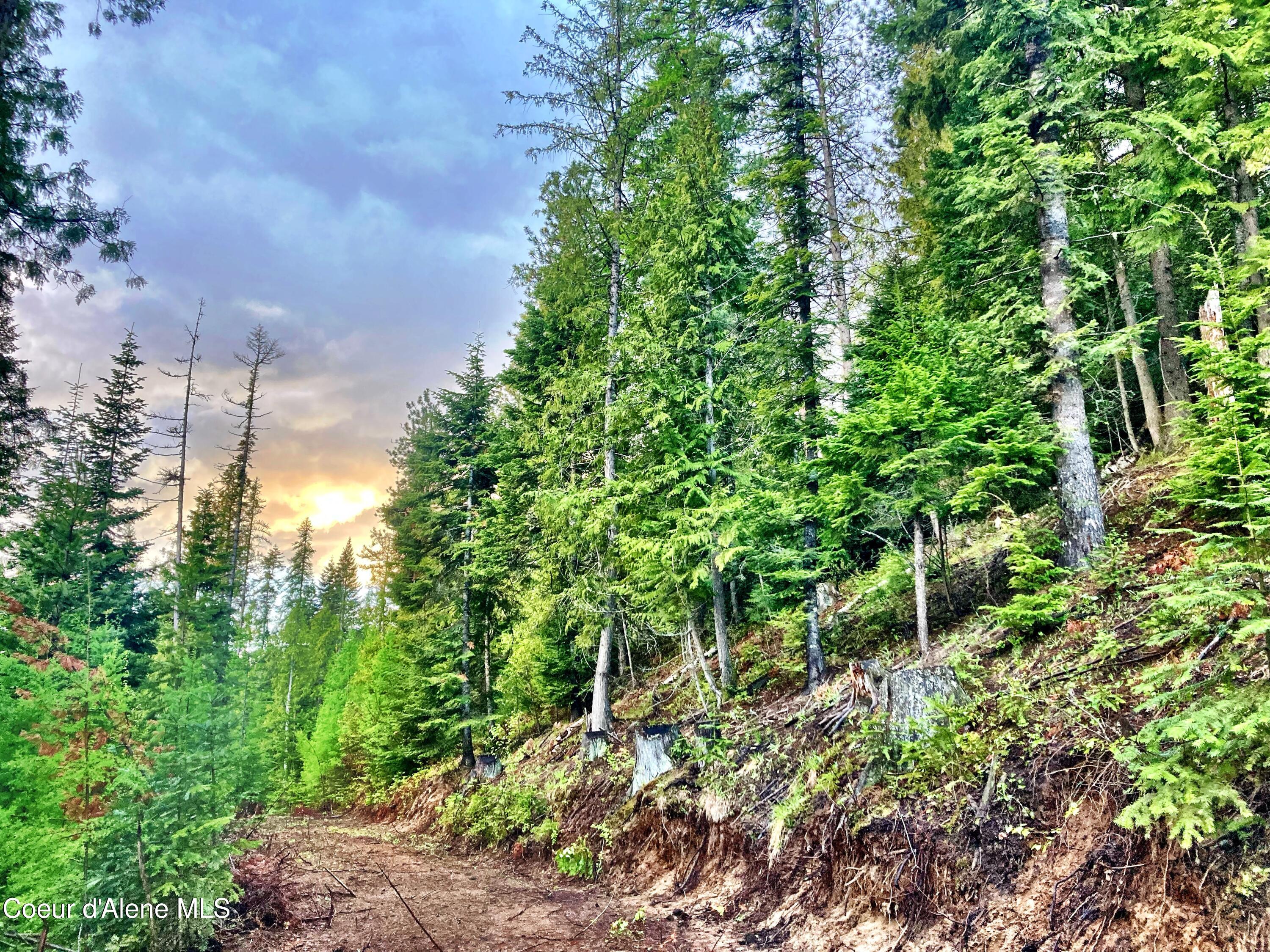 NNA White Mountain Rd