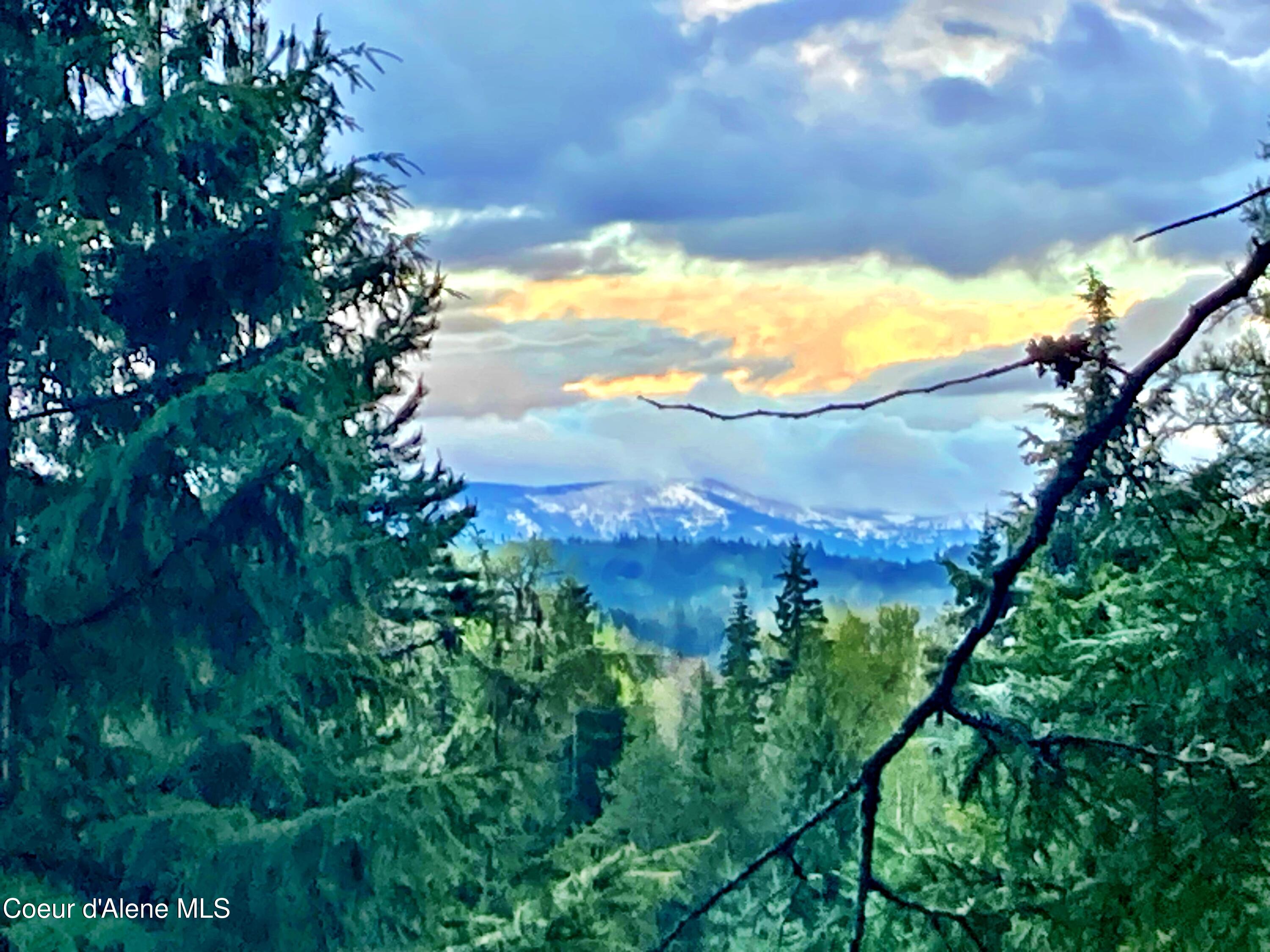 NNA White Mountain Rd