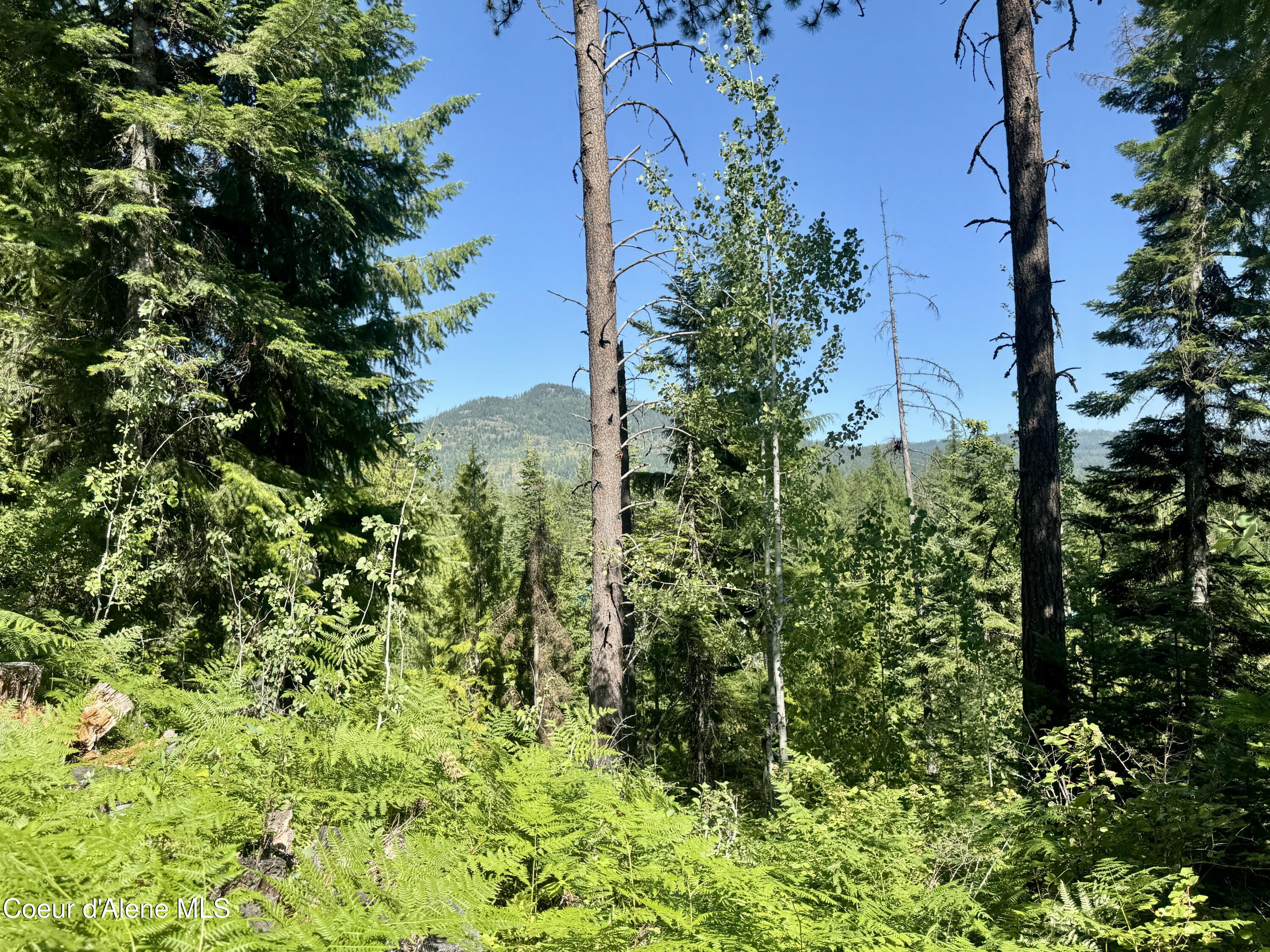 NNA White Mountain Rd