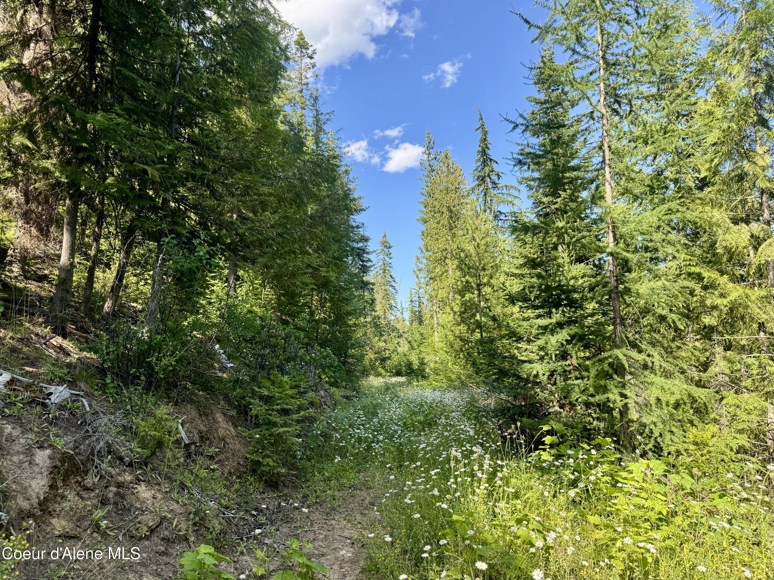 NNA White Mountain Rd