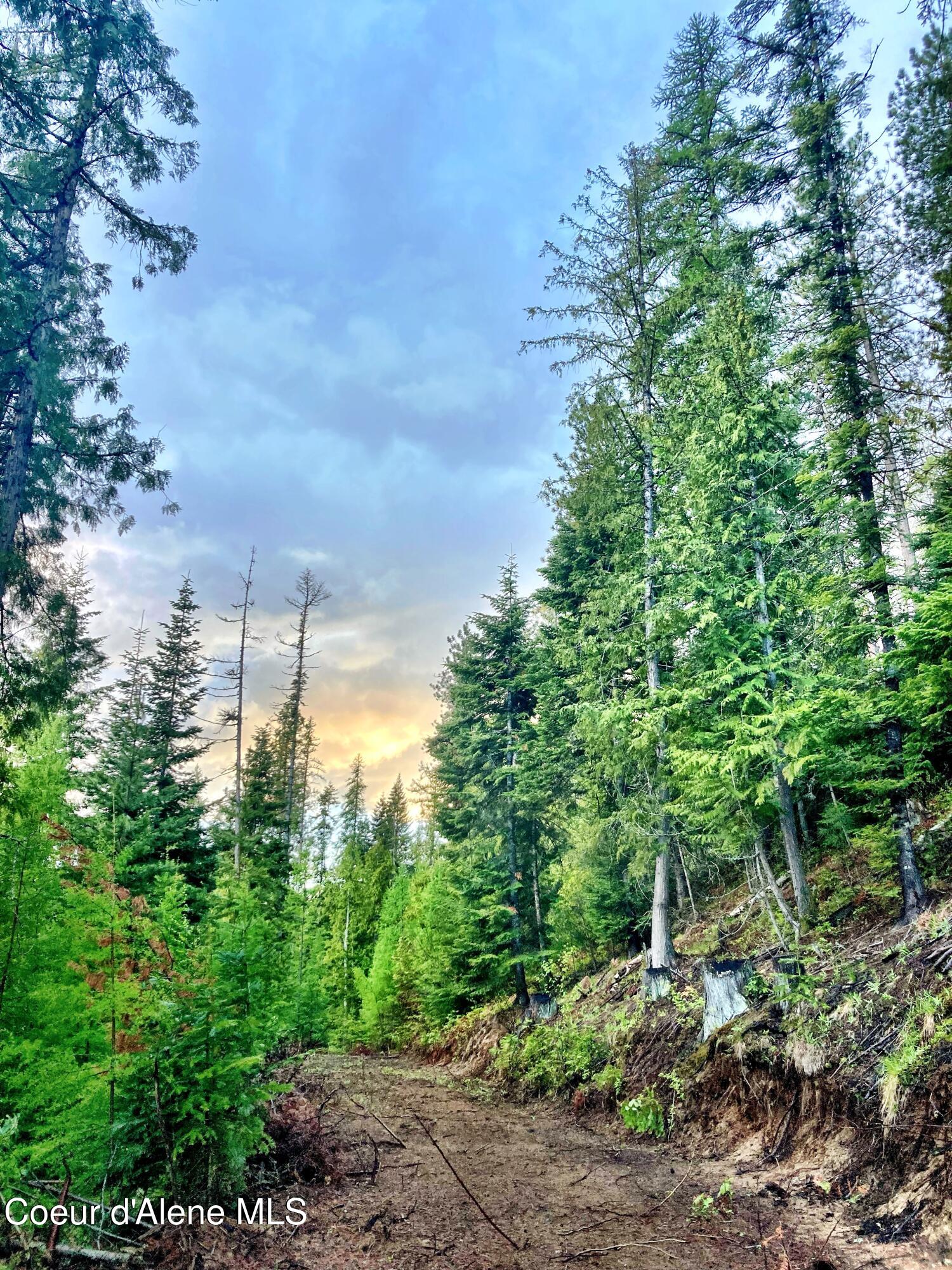 NNA White Mountain Rd