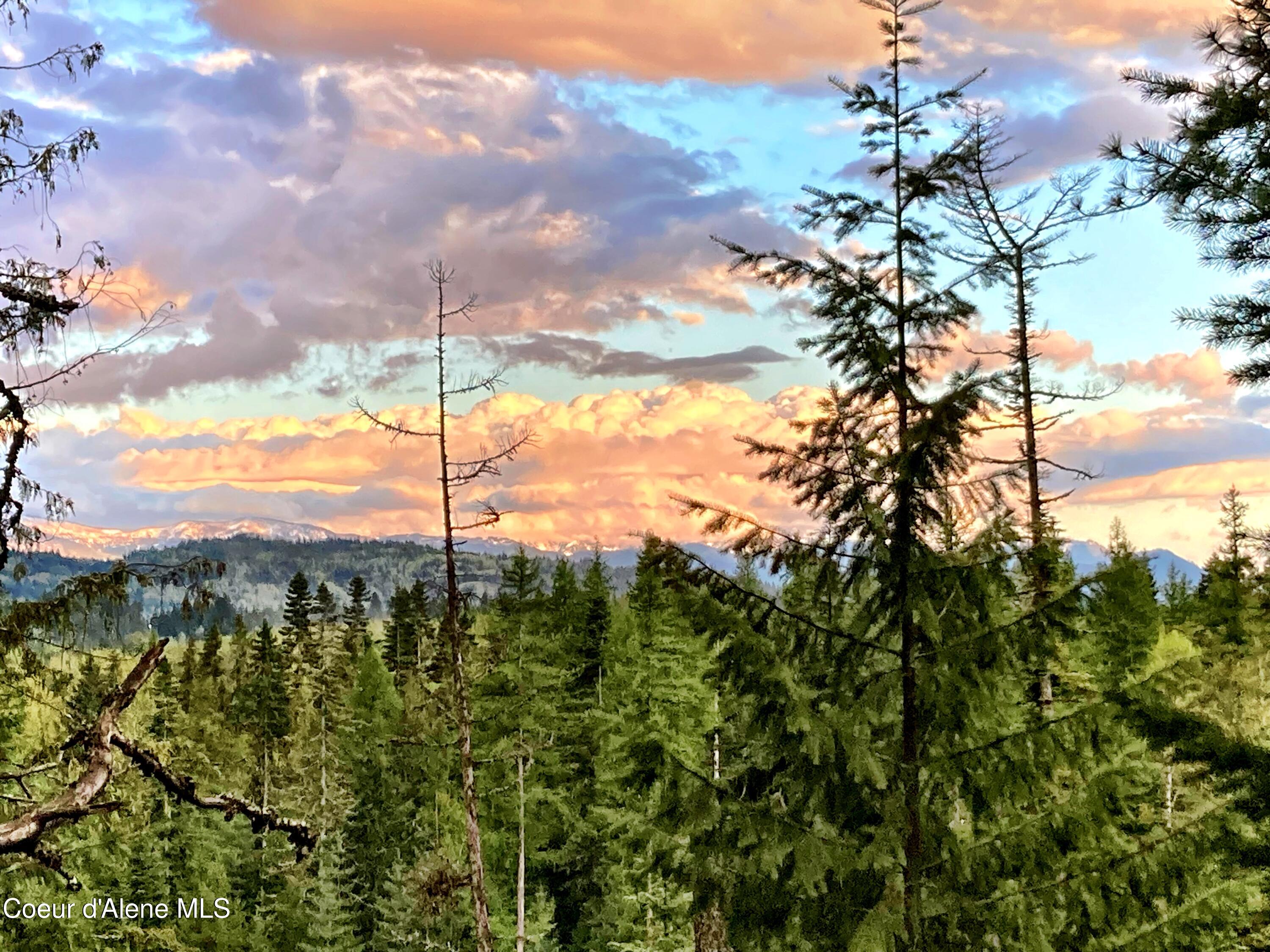 NNA White Mountain Rd