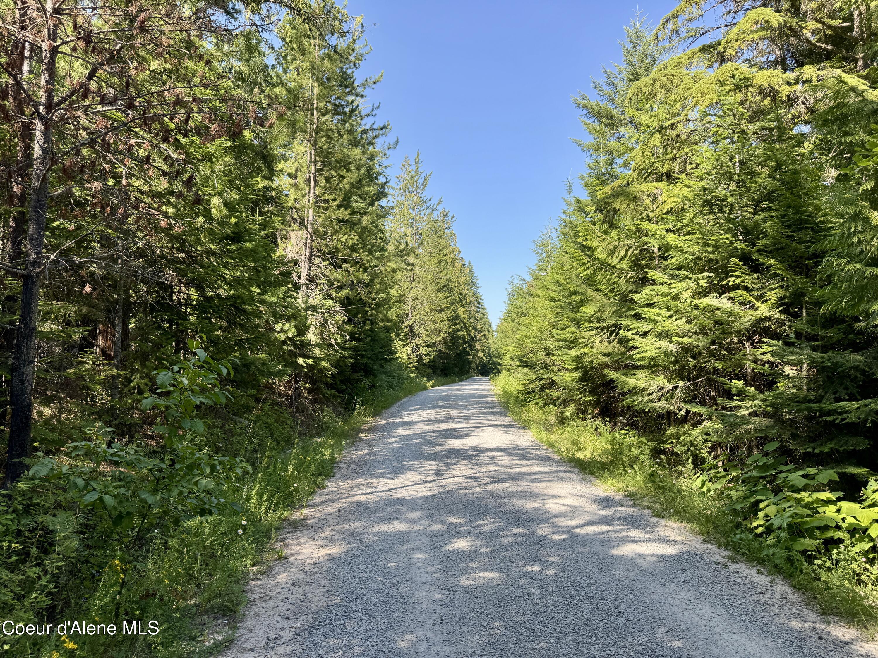 NNA White Mountain Rd