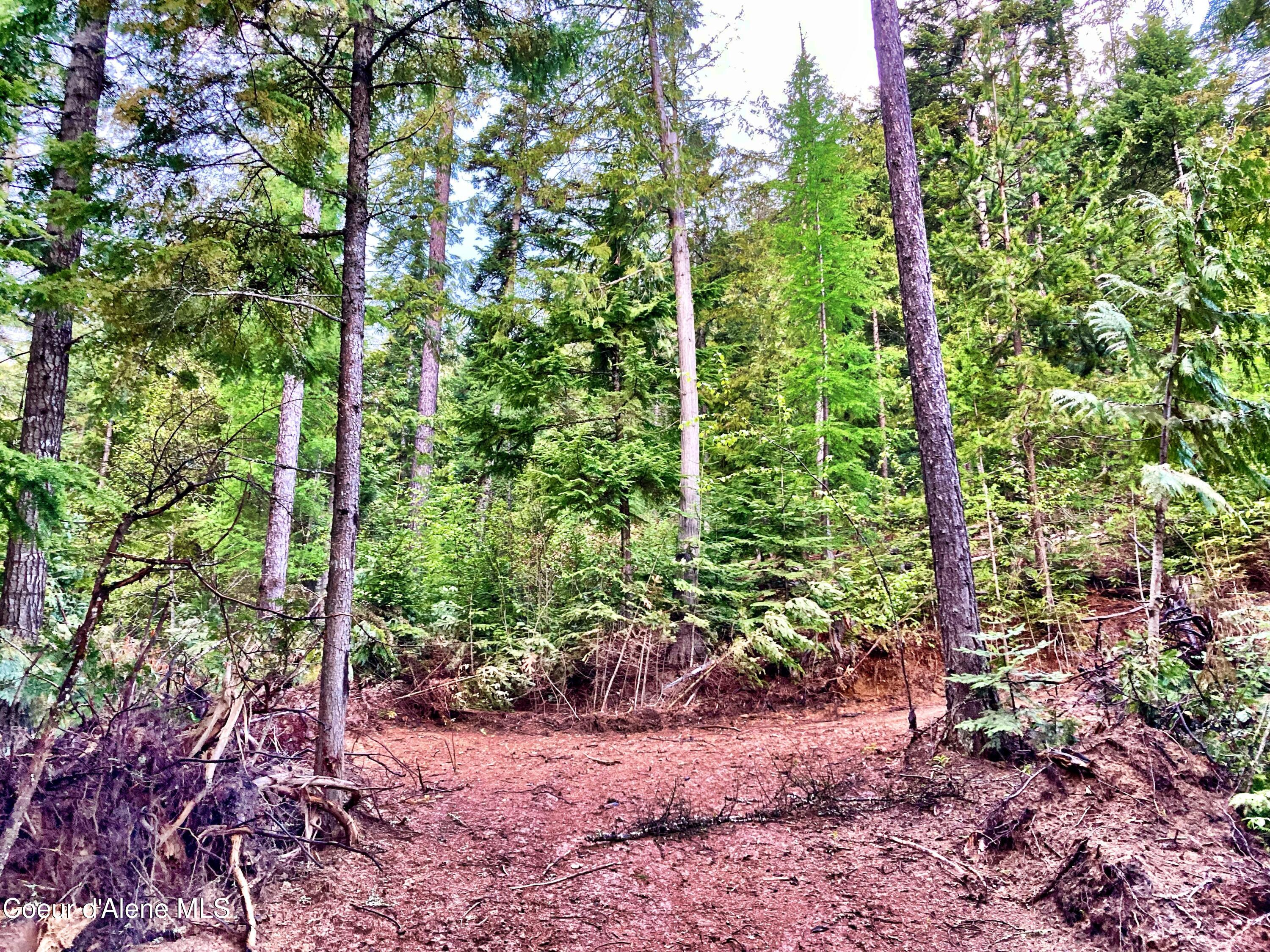 NNA White Mountain Rd