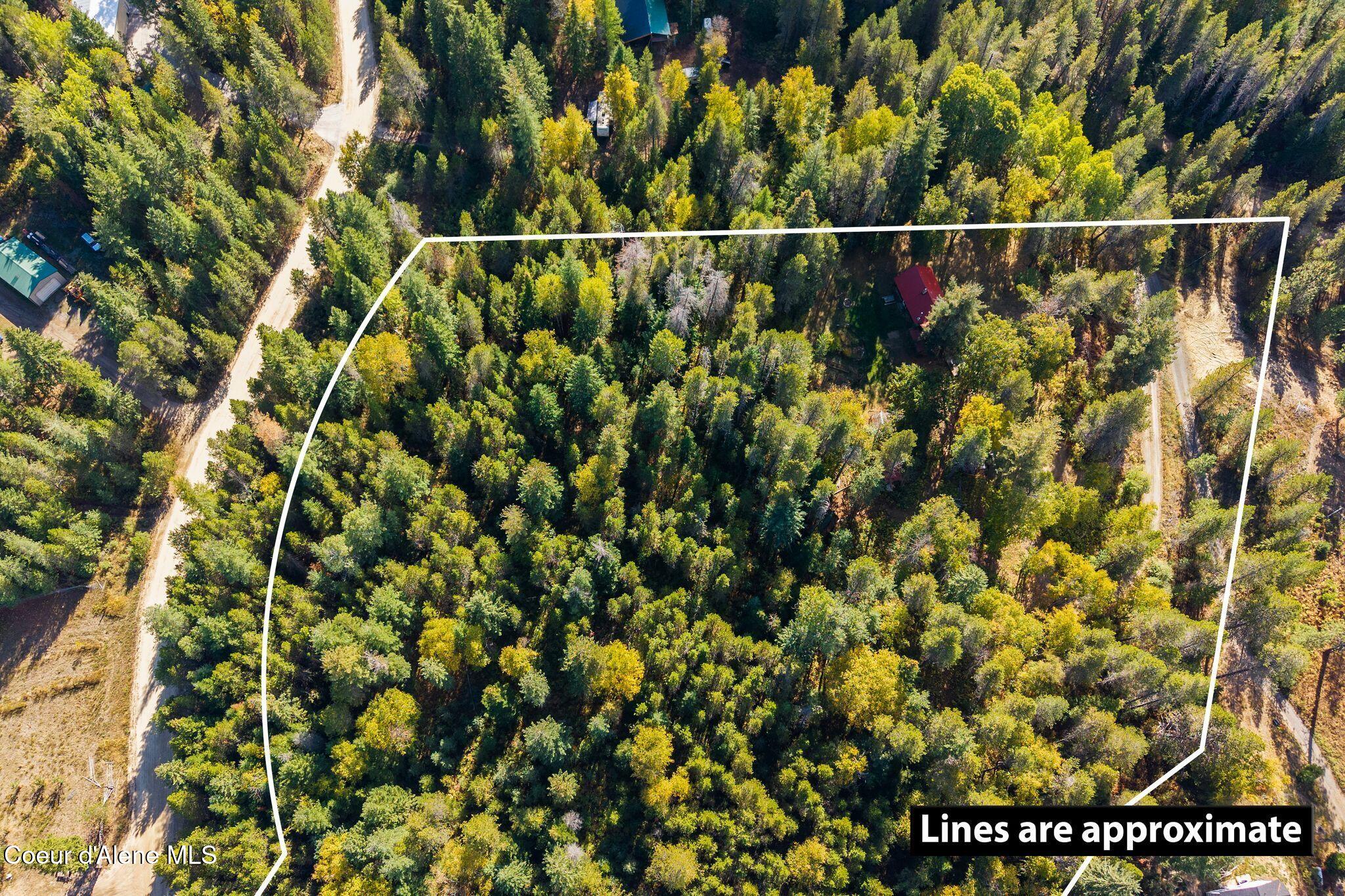 87 Chief Joseph Ln Rd