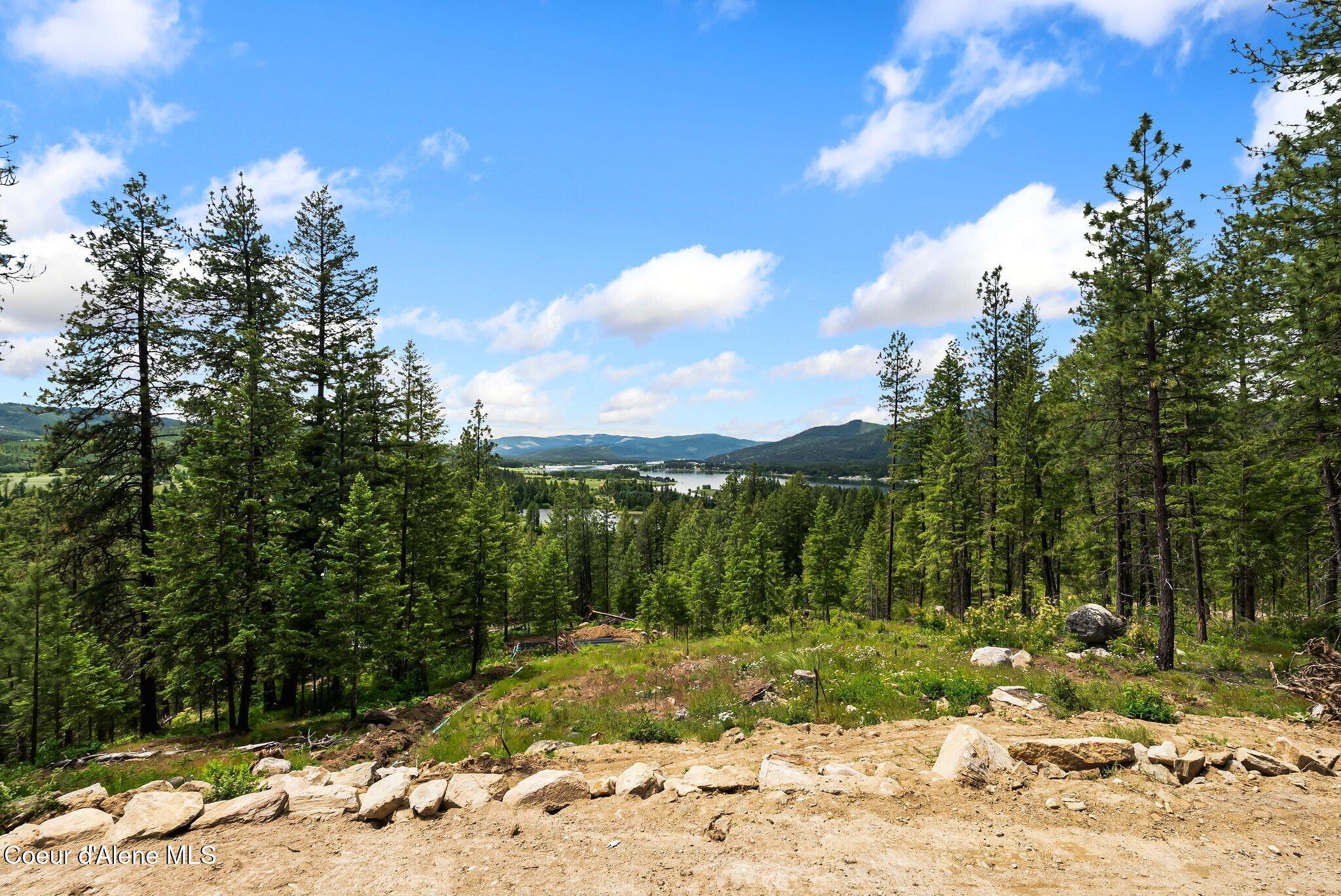 331 Towering Pines Drive