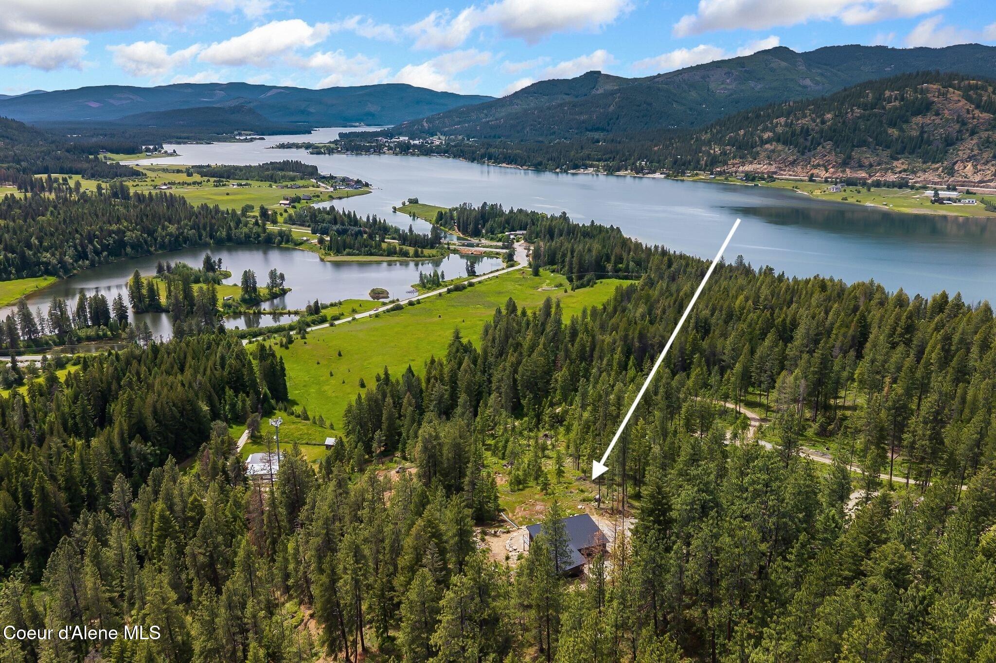 331 Towering Pines Drive