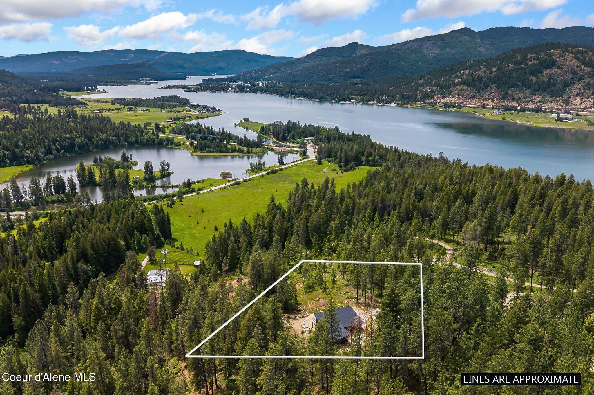 331 Towering Pines Drive