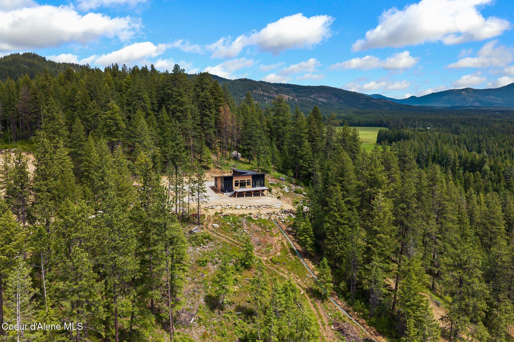 331 Towering Pines Drive