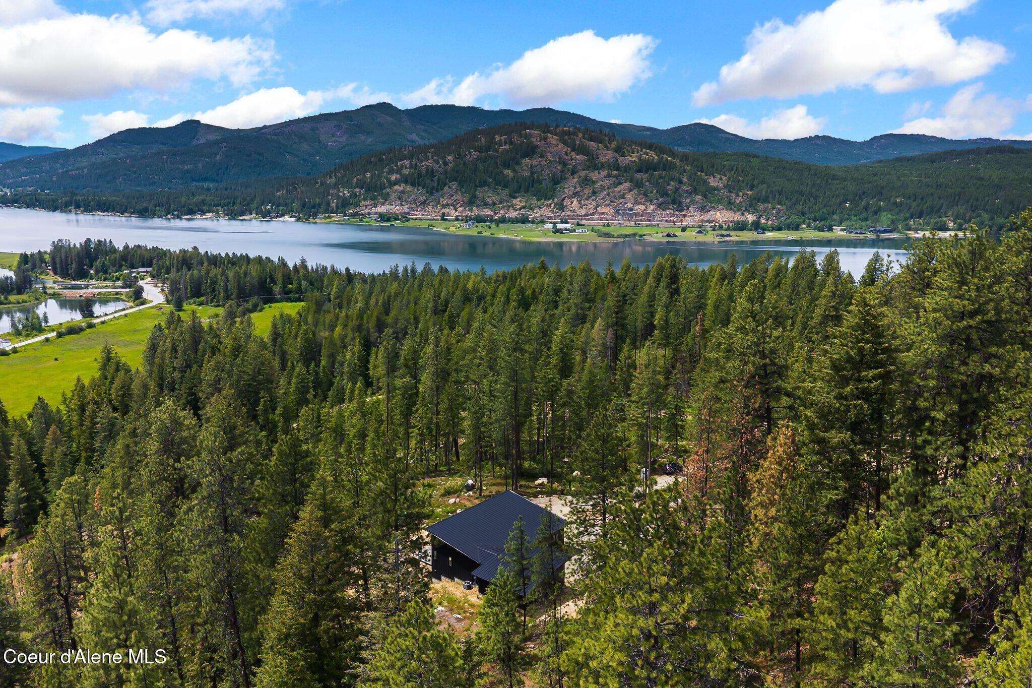 331 Towering Pines Drive
