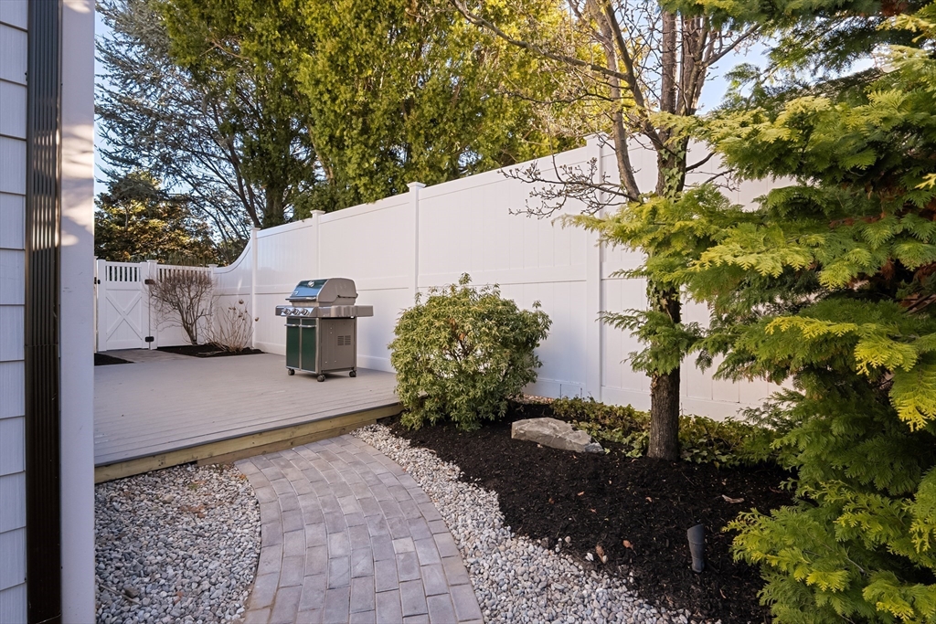 163 Clay Street # 1