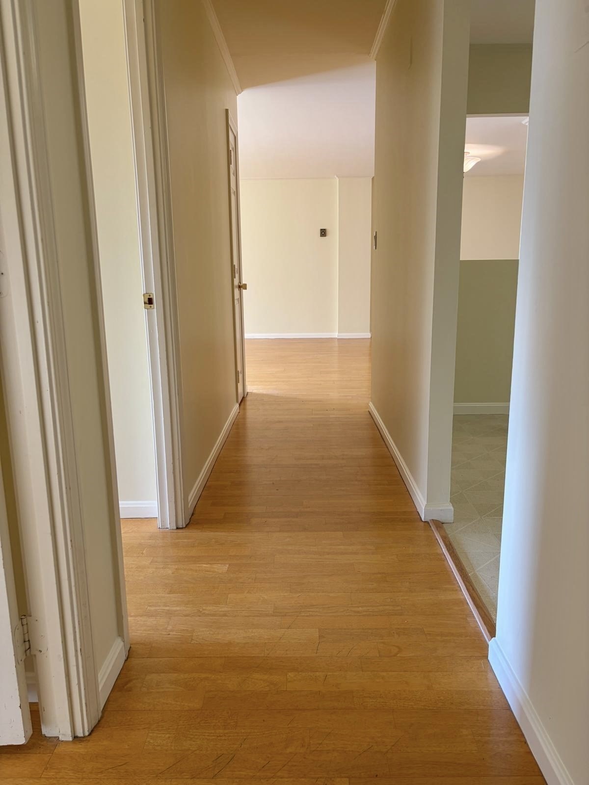 151 Coolidge Ave # 303