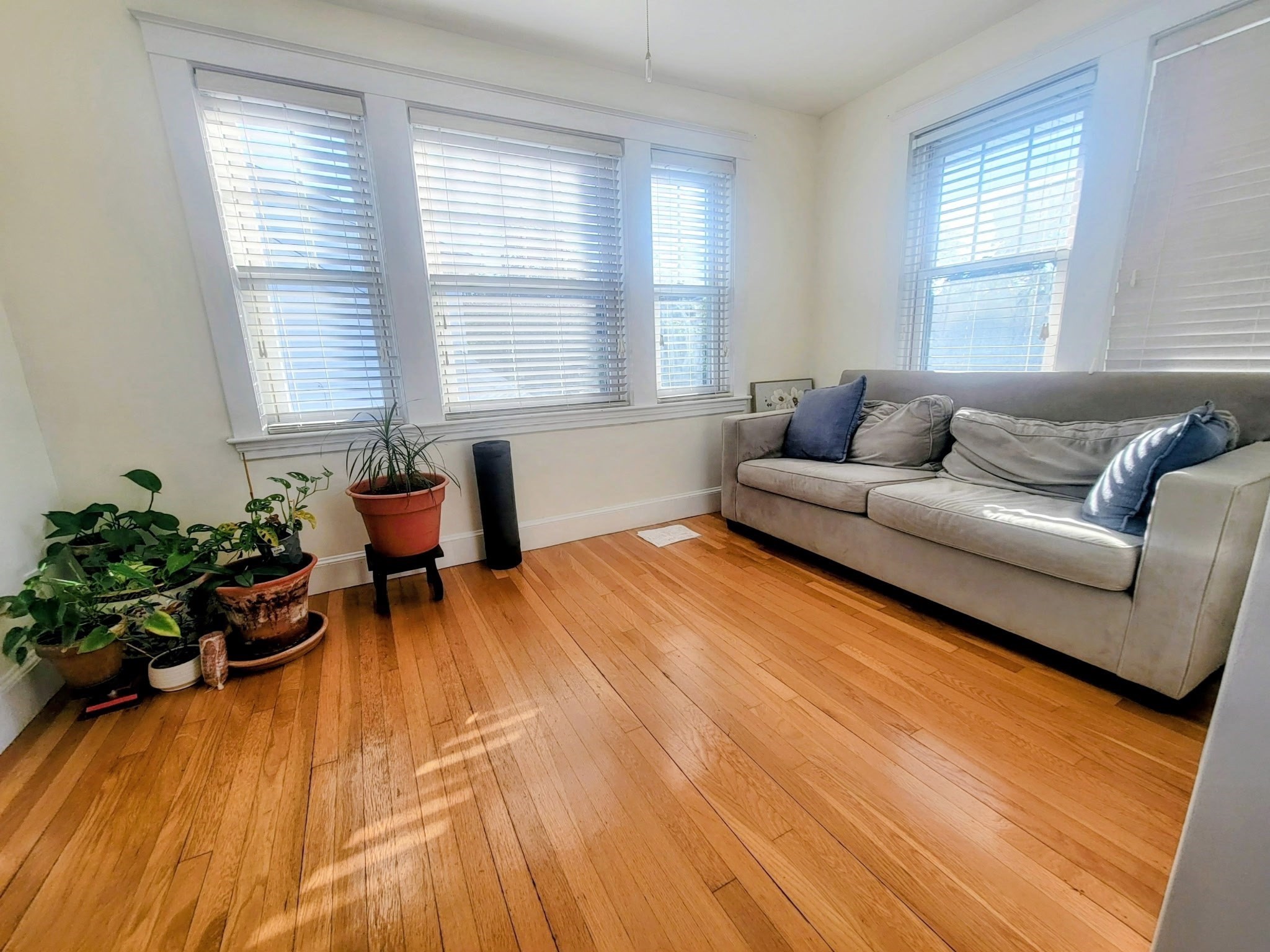 340 Common St # 2