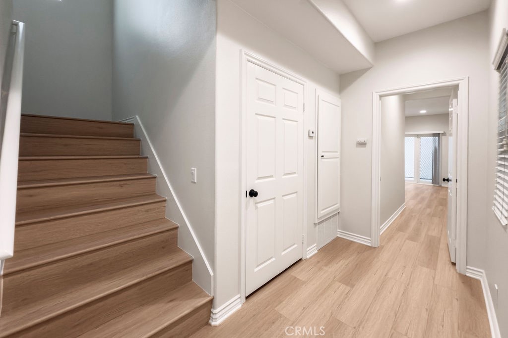 33912 Violet Lantern Street A