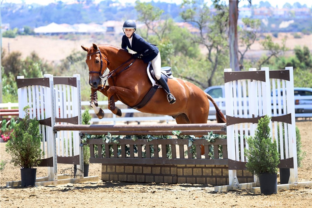 28411 Via Del Sereno