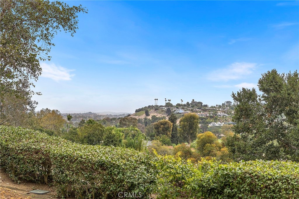 30902 Clubhouse 24E