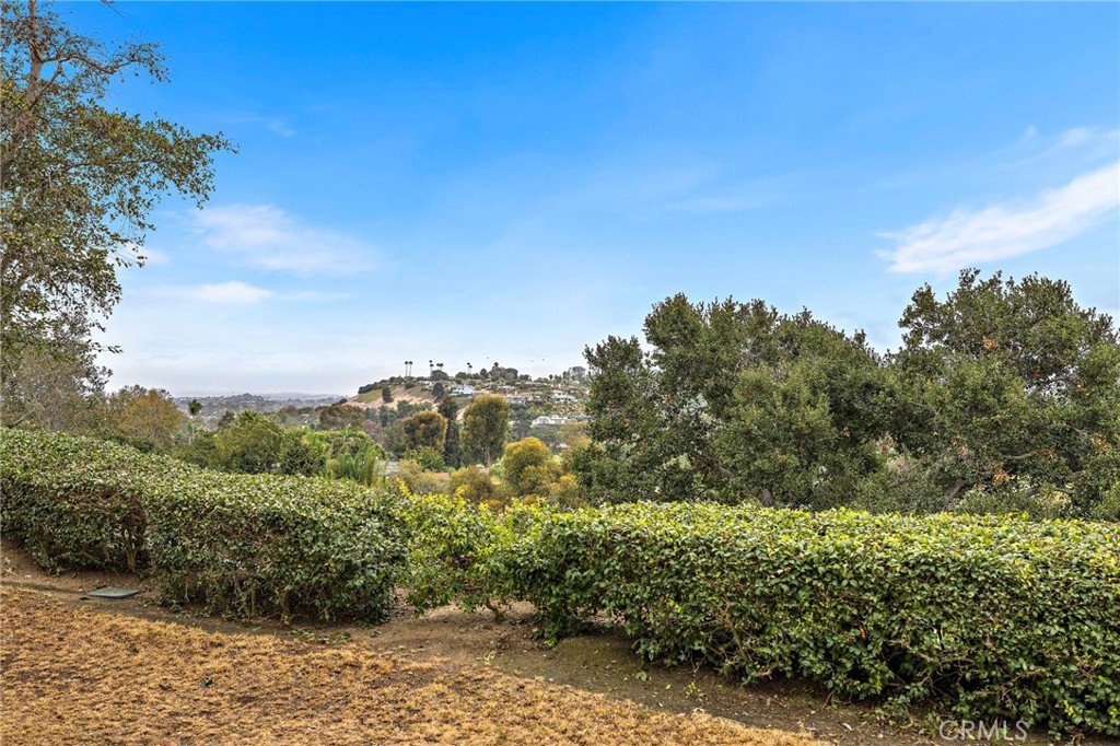 30902 Clubhouse 24E