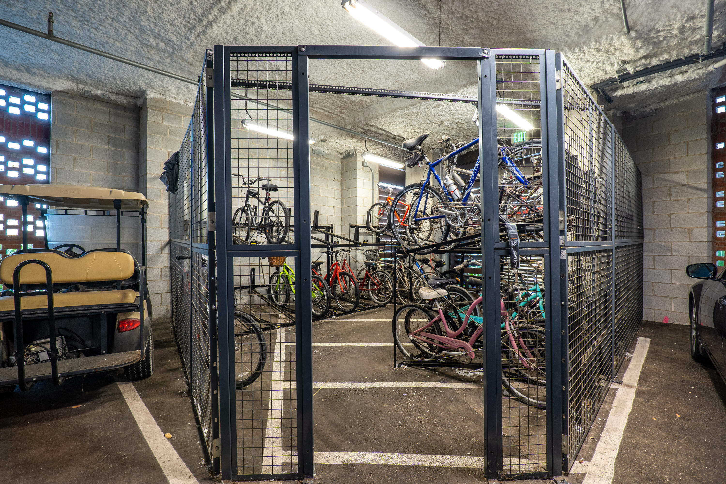 5 Gadsdenboro Street # 409